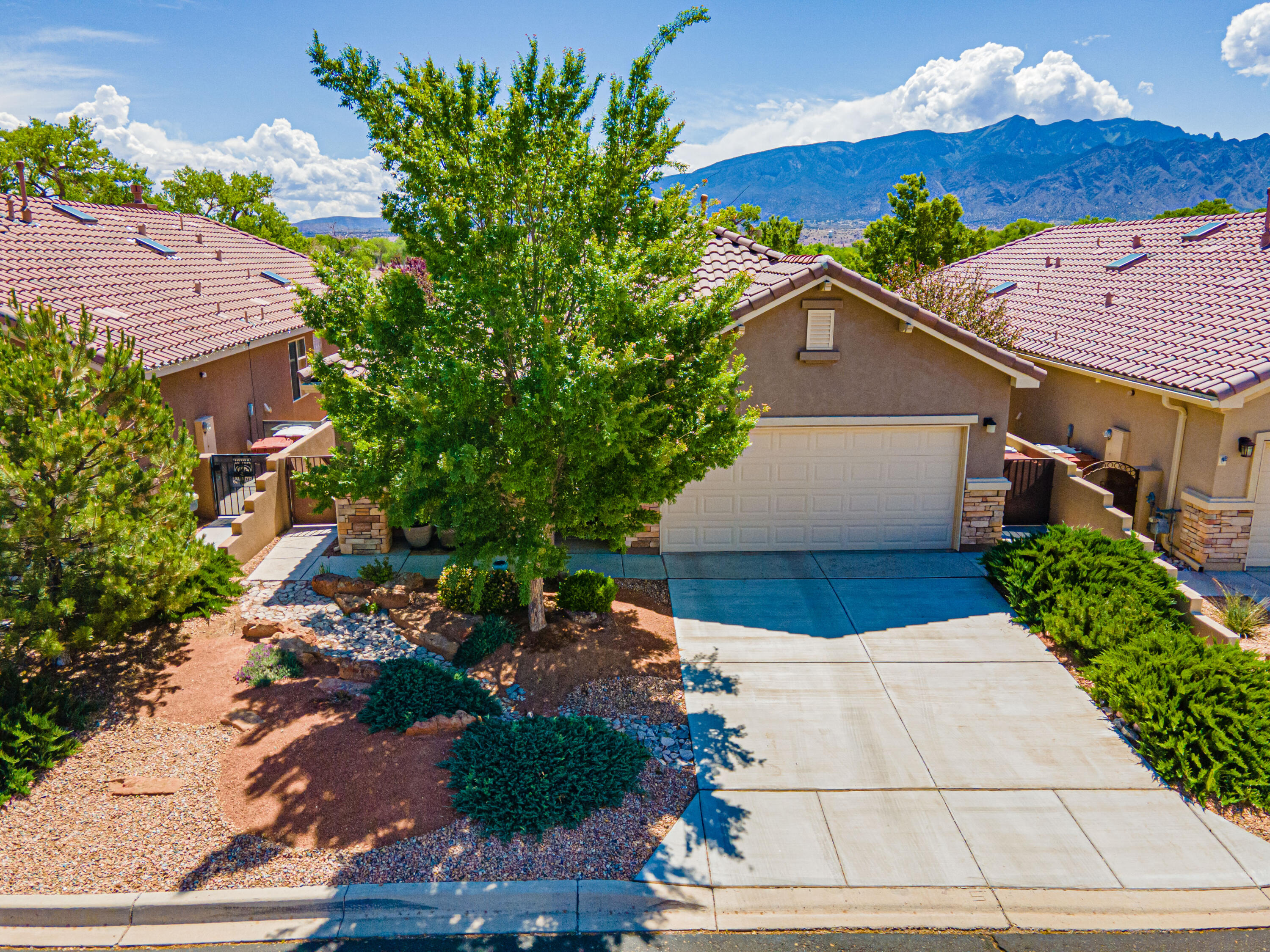 888 EVENING PRIMROSE Lane