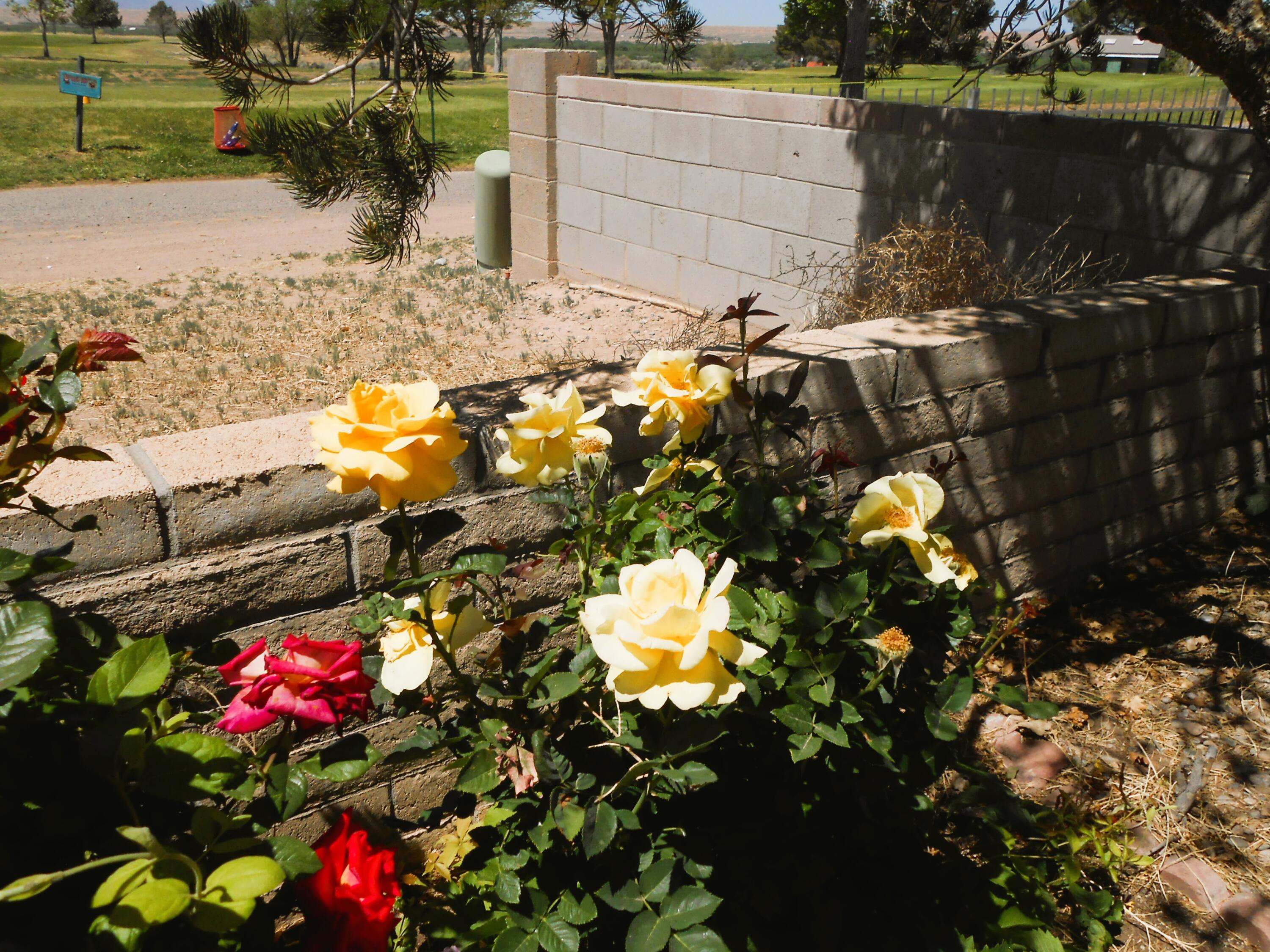 917 Lee Trevino Drive