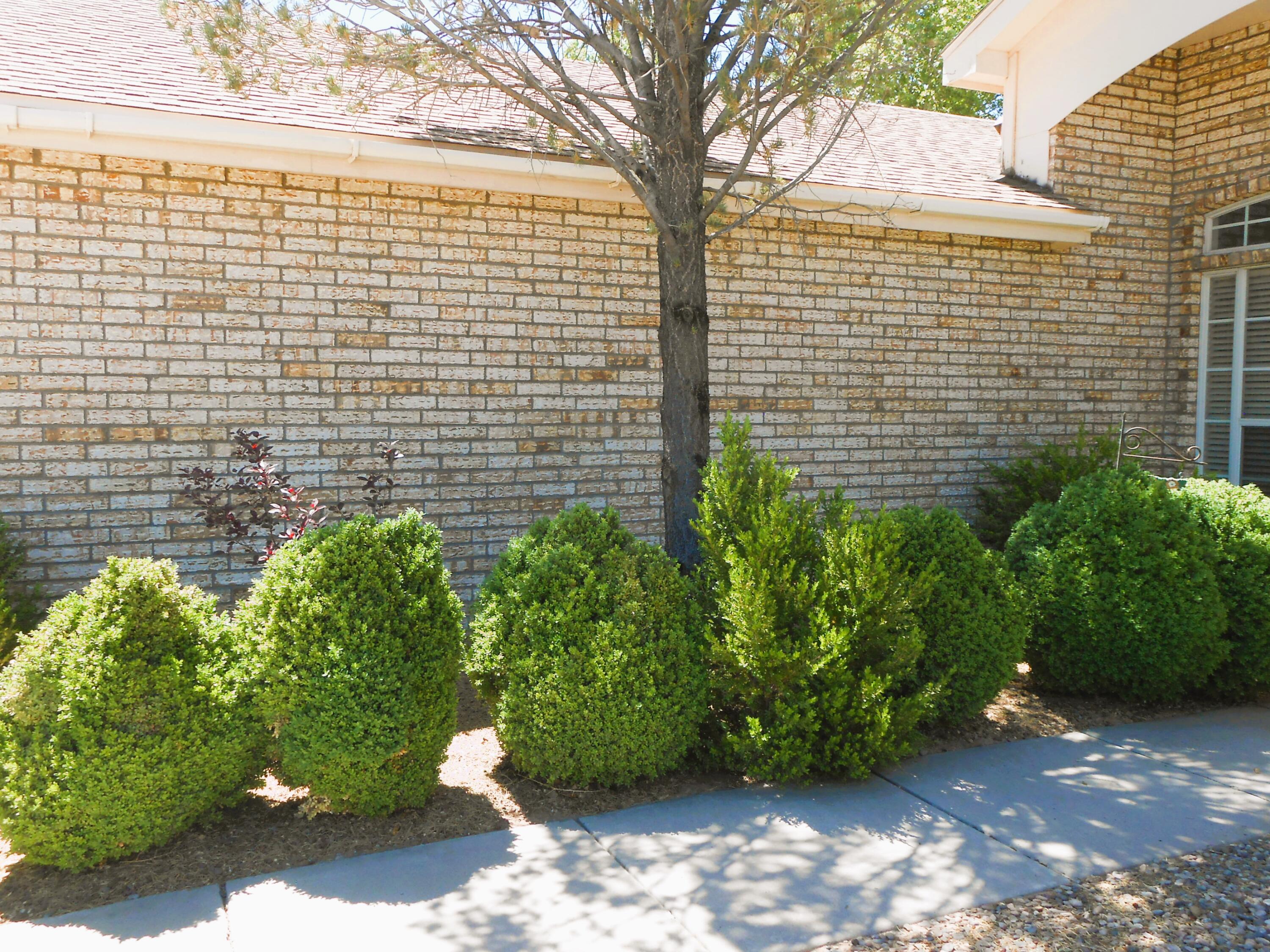 917 Lee Trevino Drive