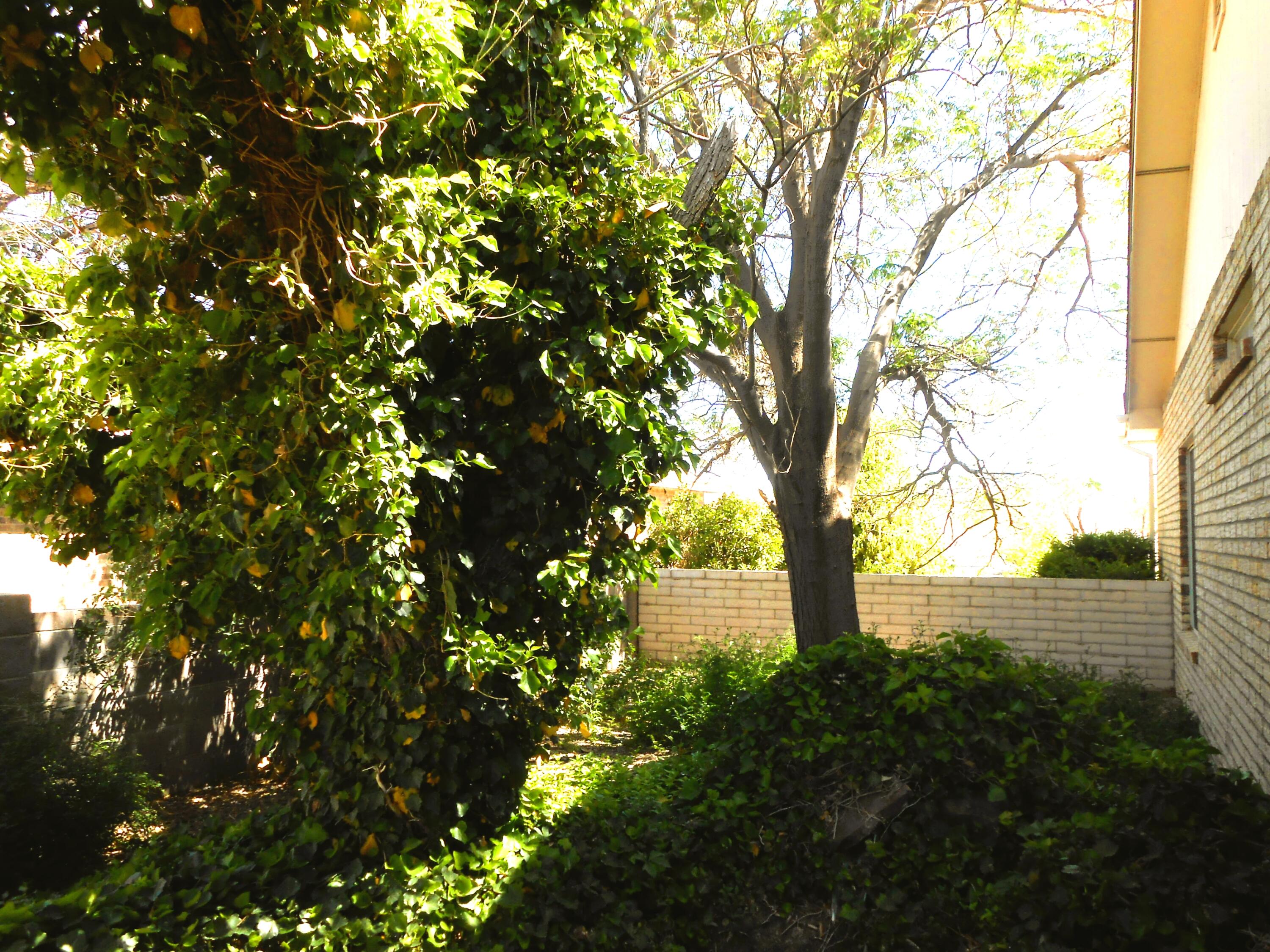 917 Lee Trevino Drive