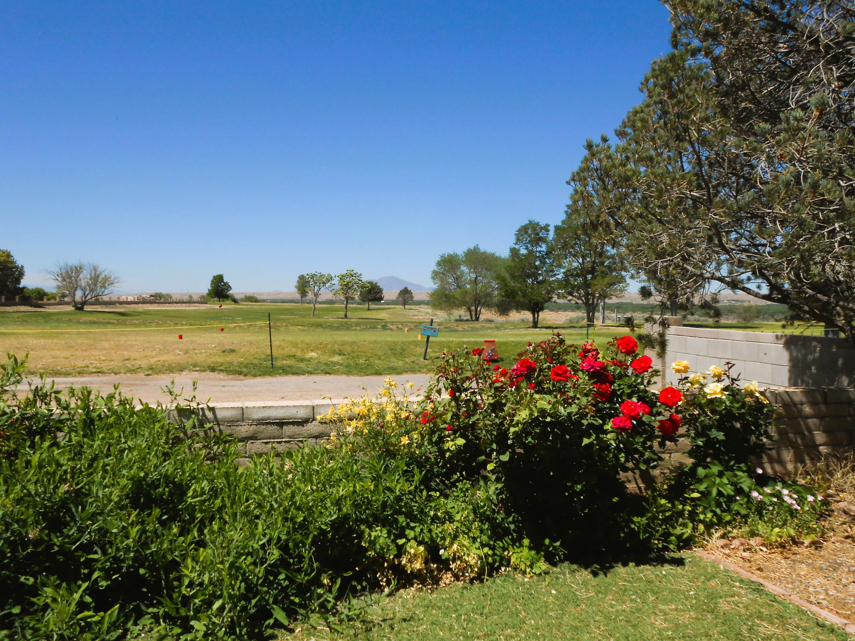 917 Lee Trevino Drive