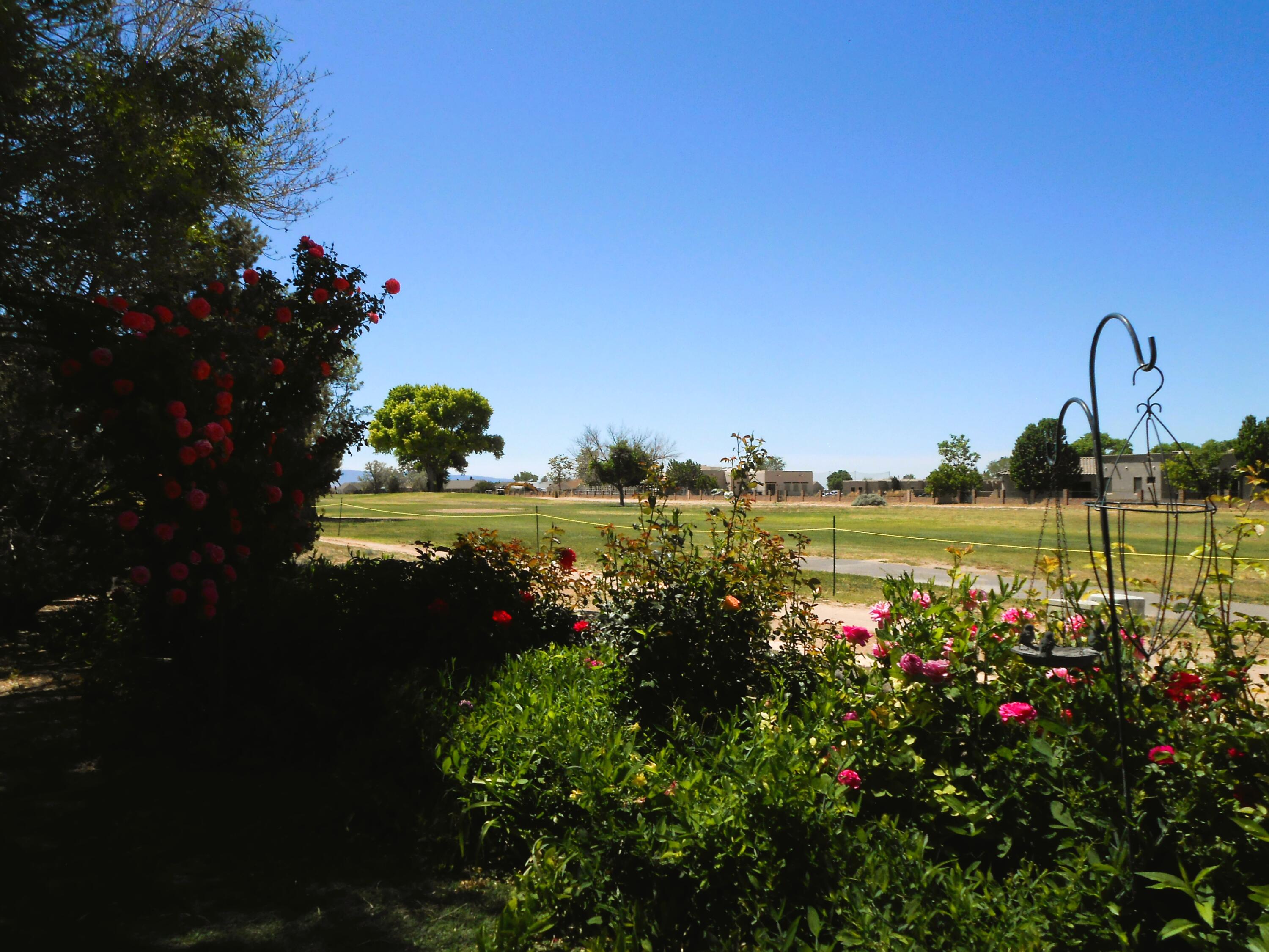 917 Lee Trevino Drive