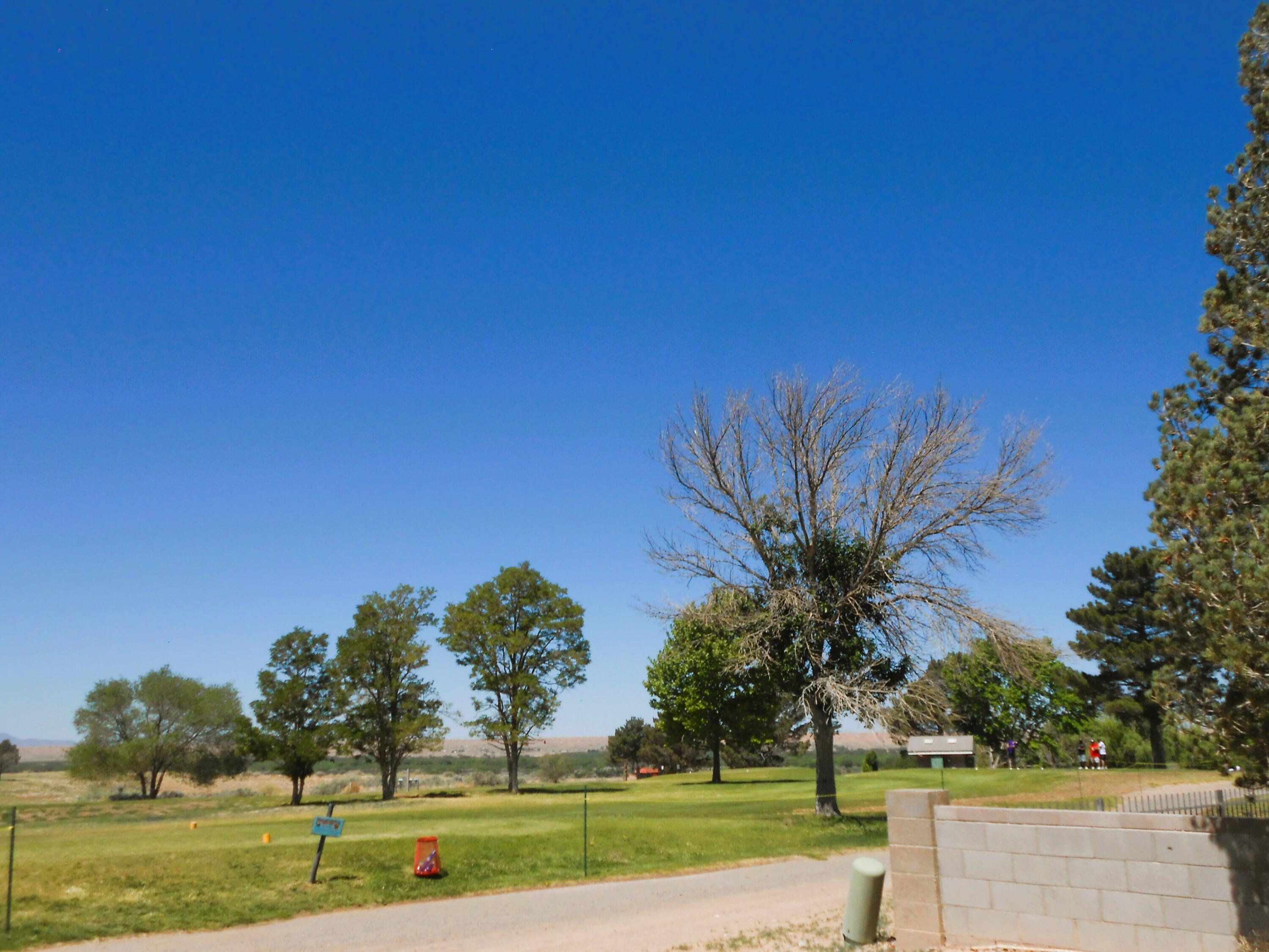 917 Lee Trevino Drive