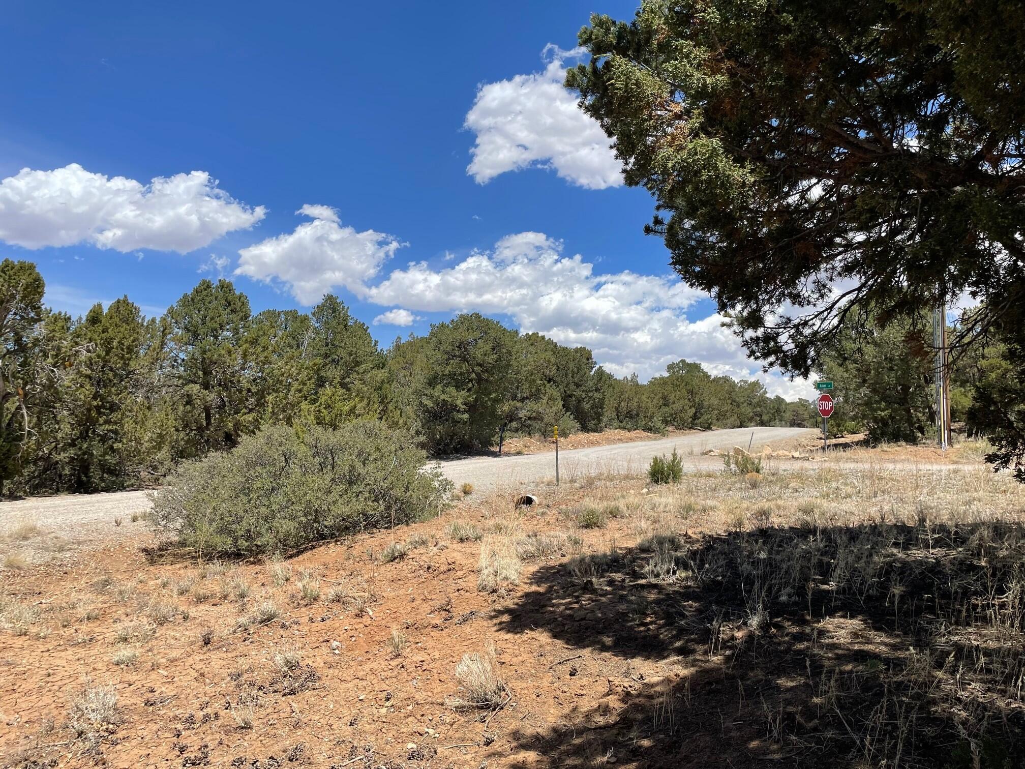 88 SEDILLO CANYON Road