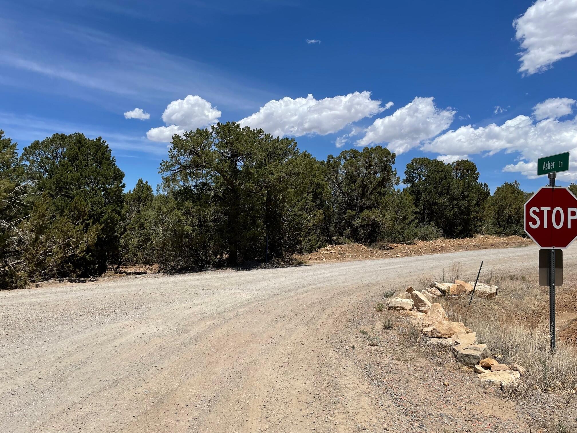 88 SEDILLO CANYON Road