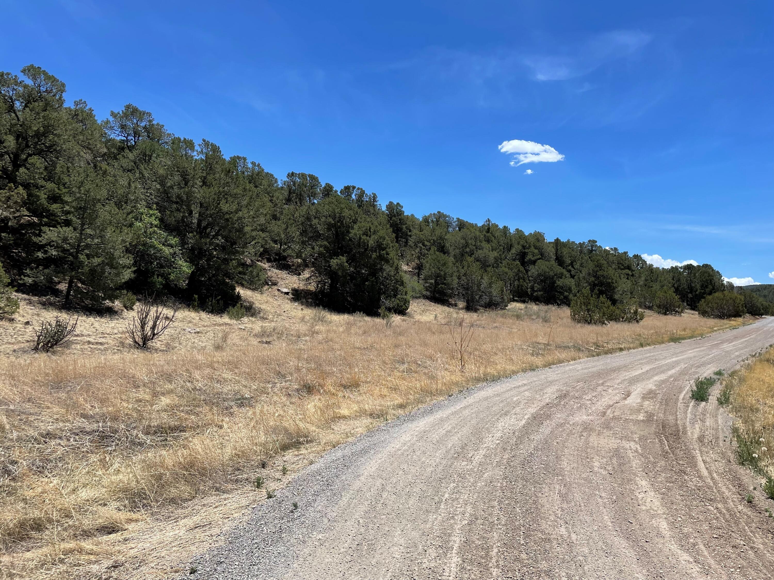 88 SEDILLO CANYON Road