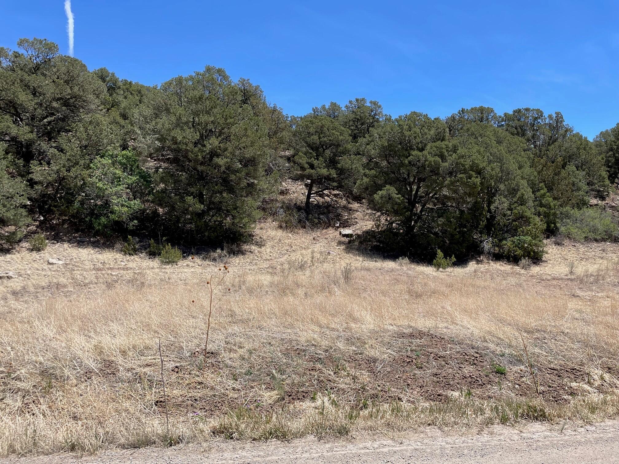 88 SEDILLO CANYON Road