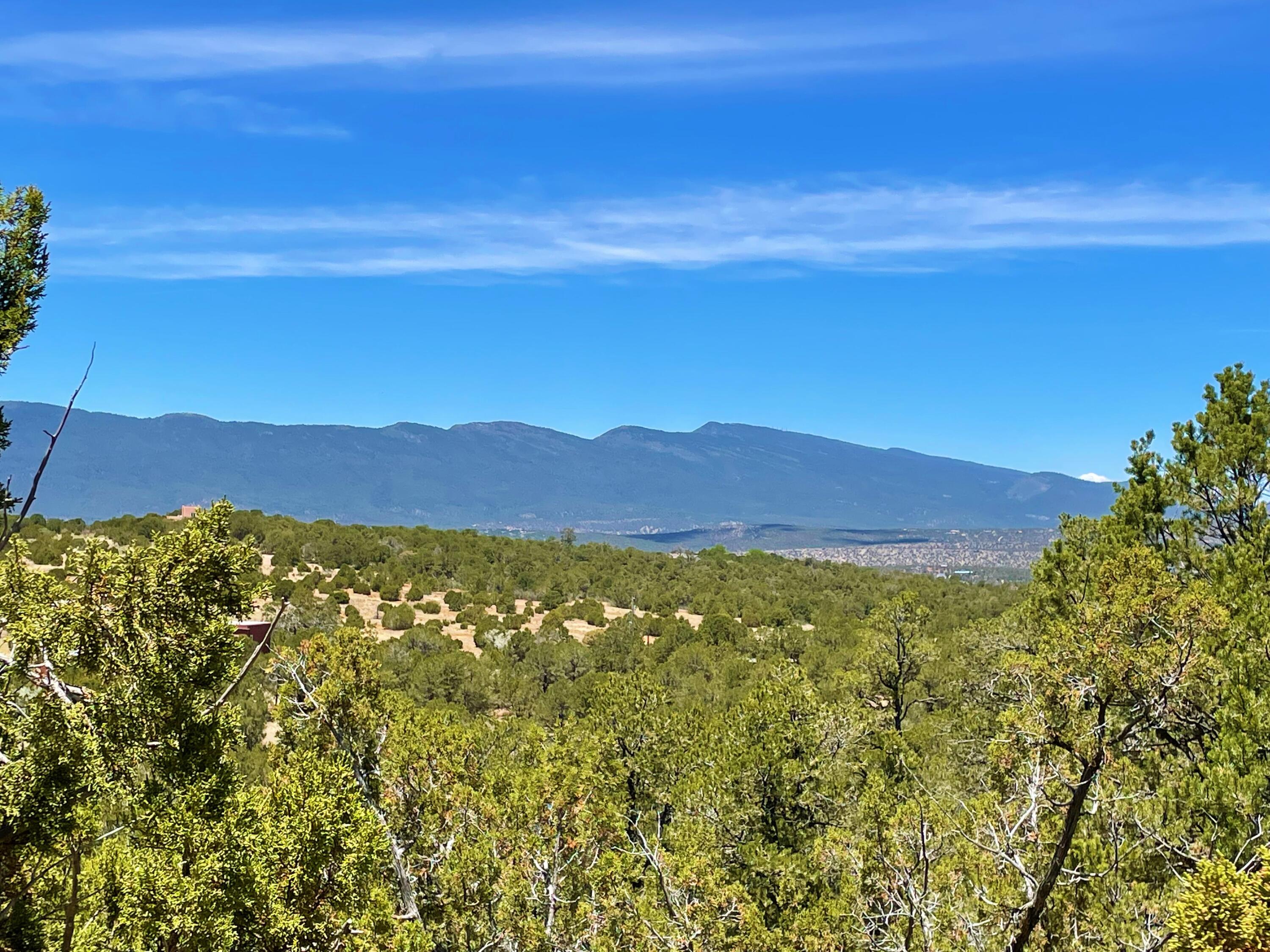 88 SEDILLO CANYON Road