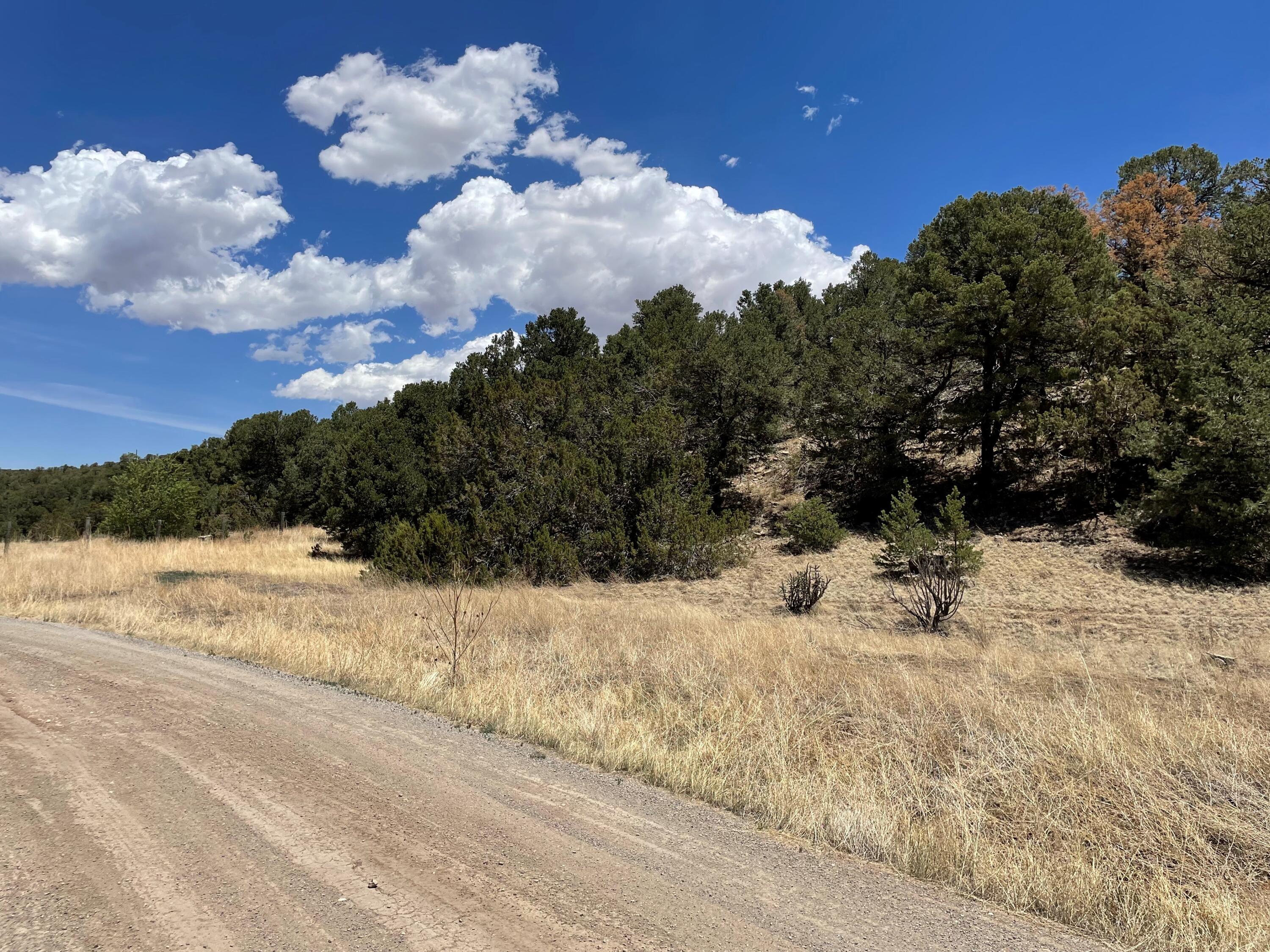 88 SEDILLO CANYON Road