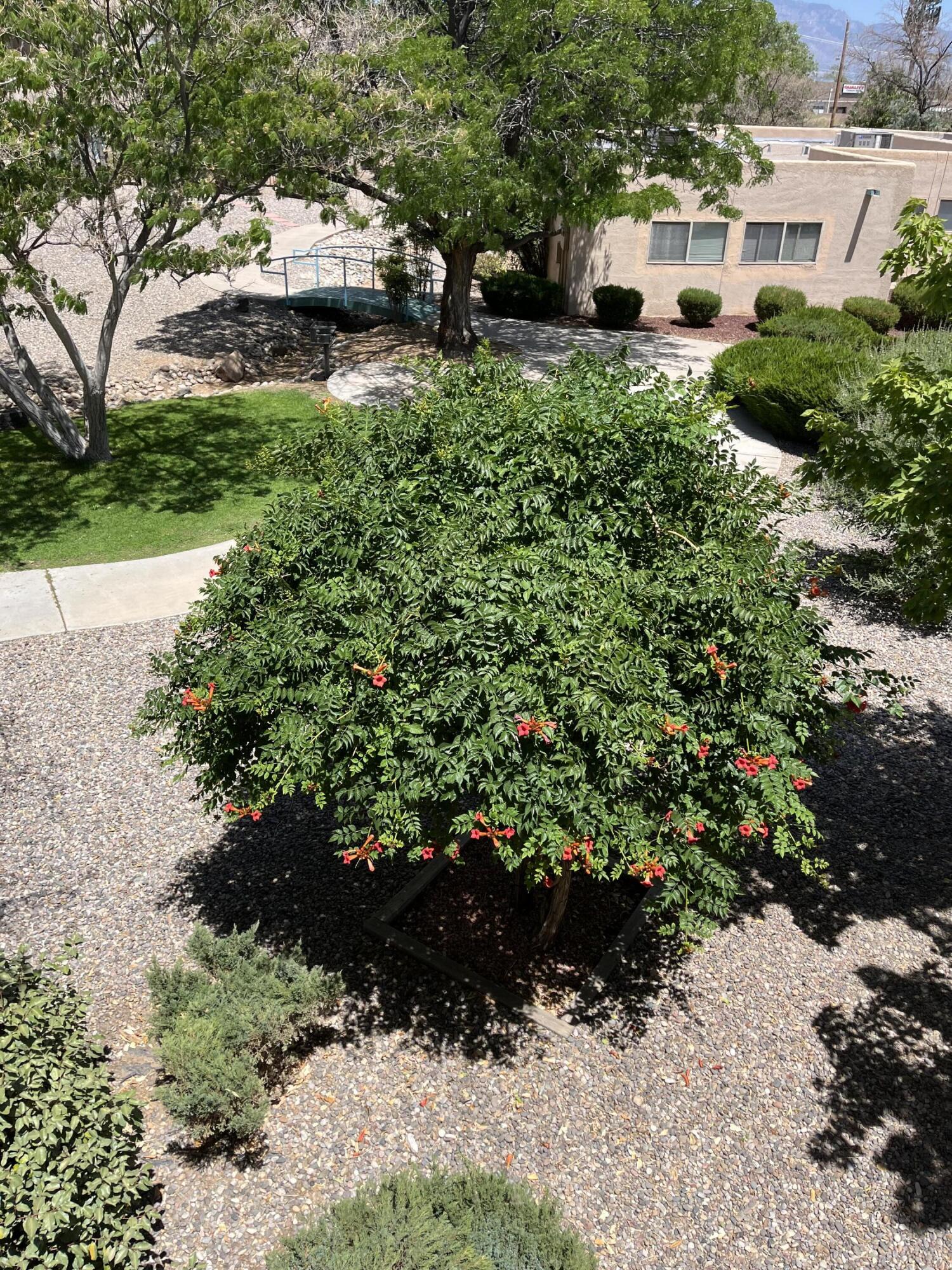 4713 COUNTRY CLUB Lane NW Unit: D4