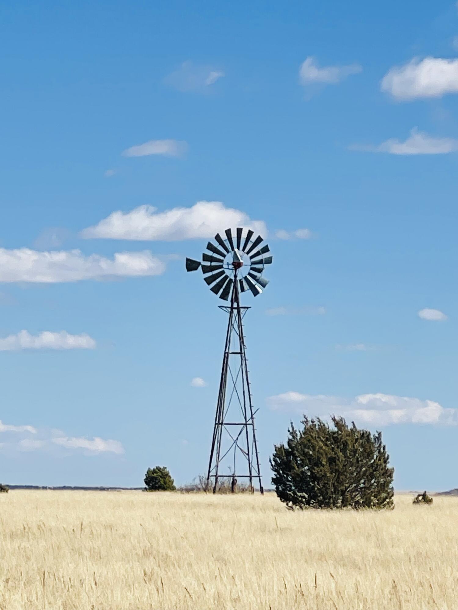 264 County Road A6
