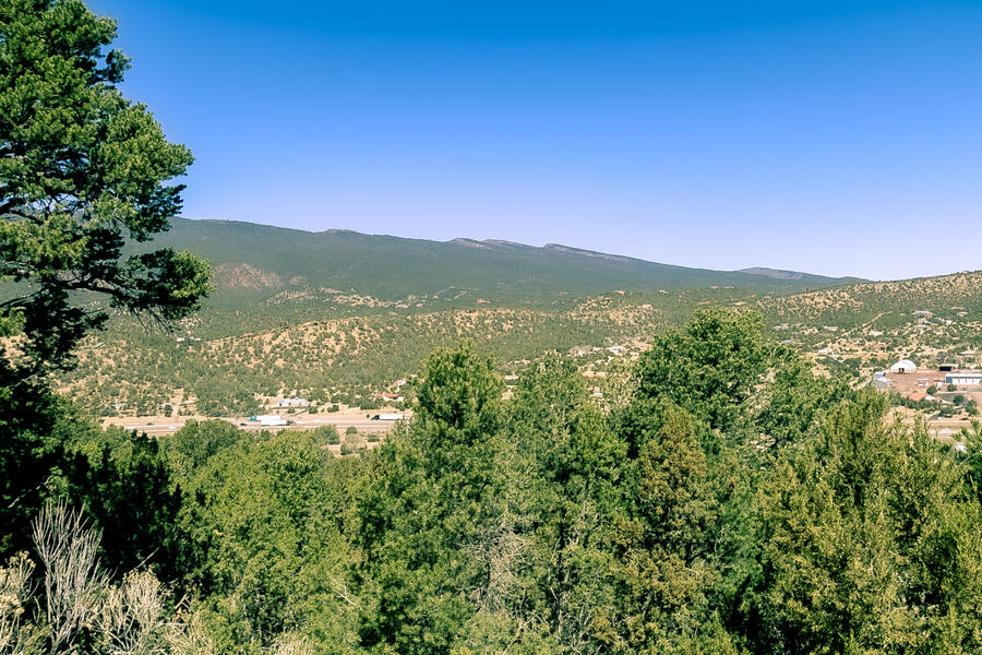 49 EAGLE CREST Drive