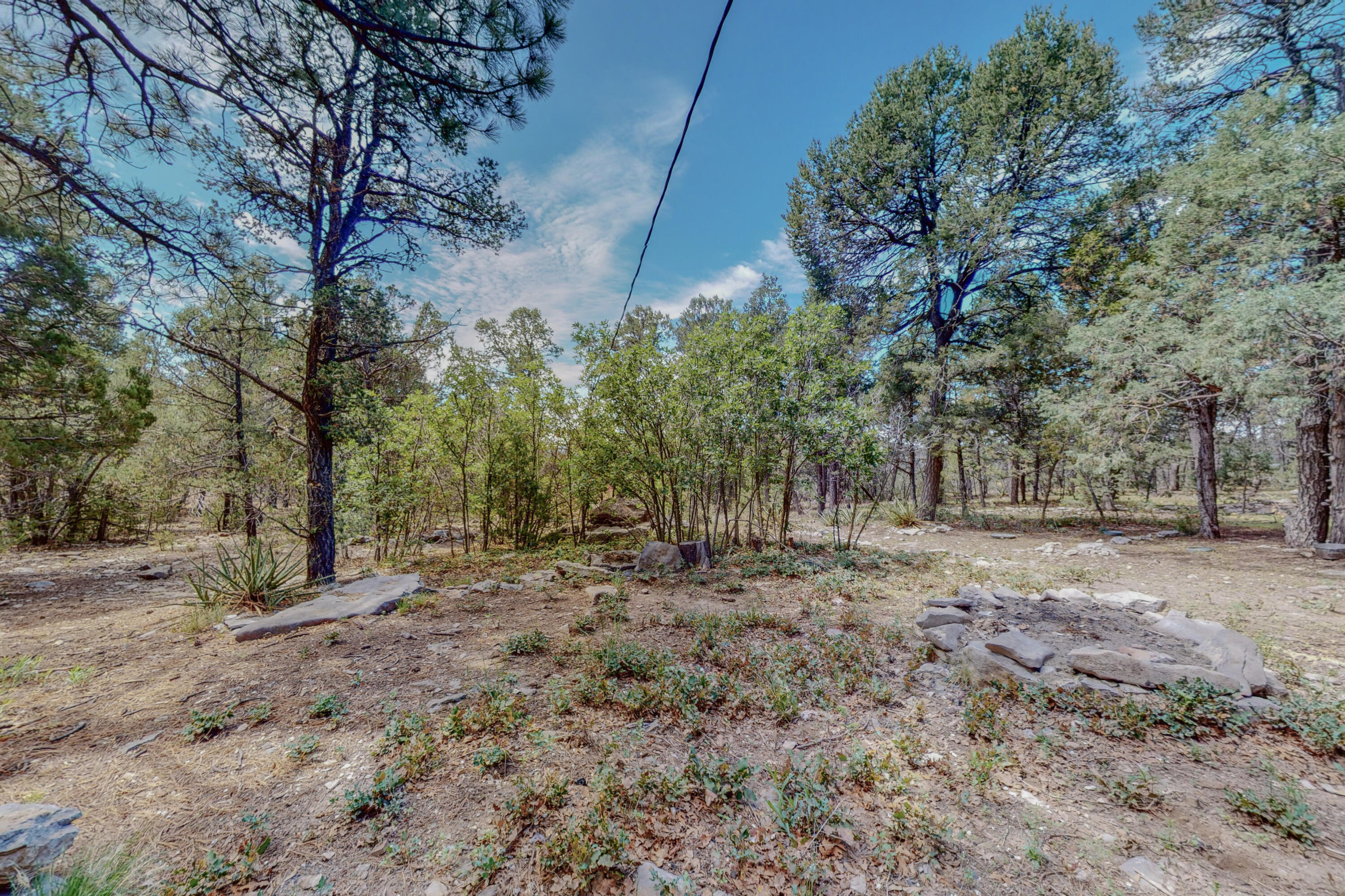 207 Woodpecker Court