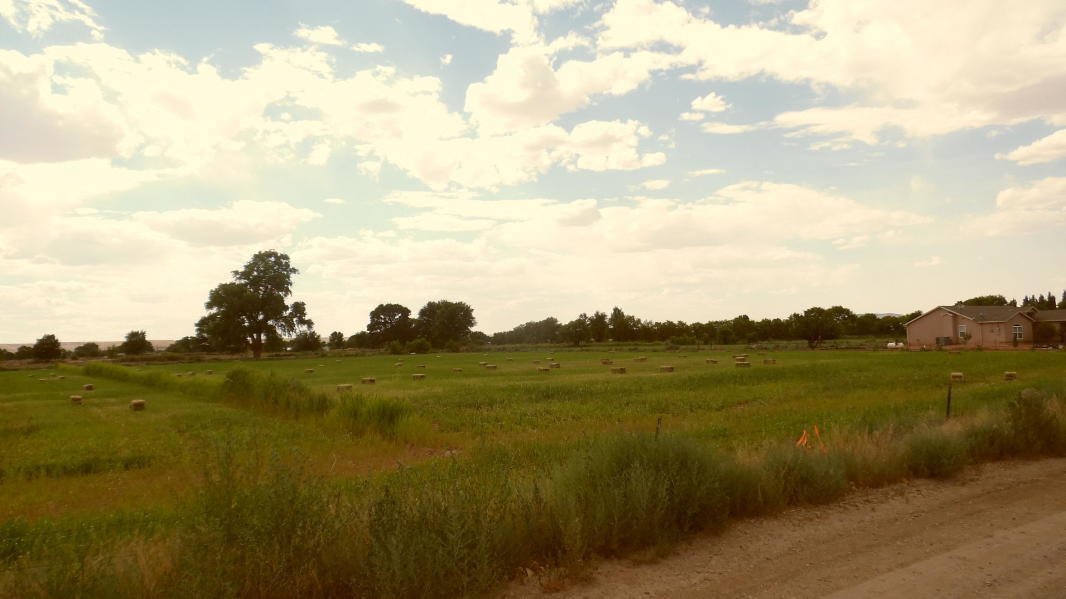 Acequia