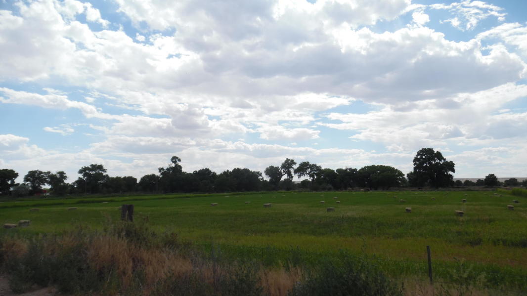 Acequia