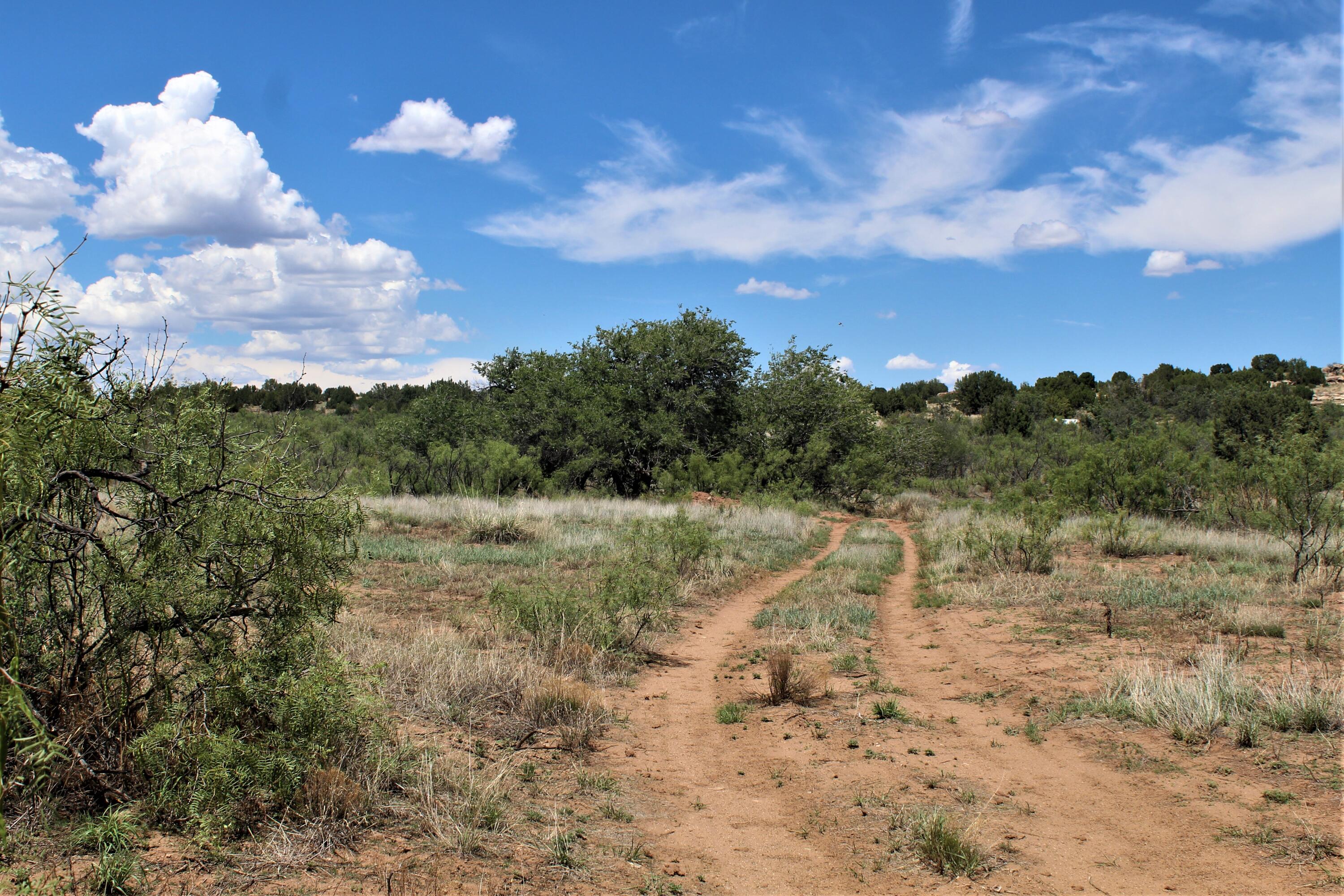 County Road C-57-D