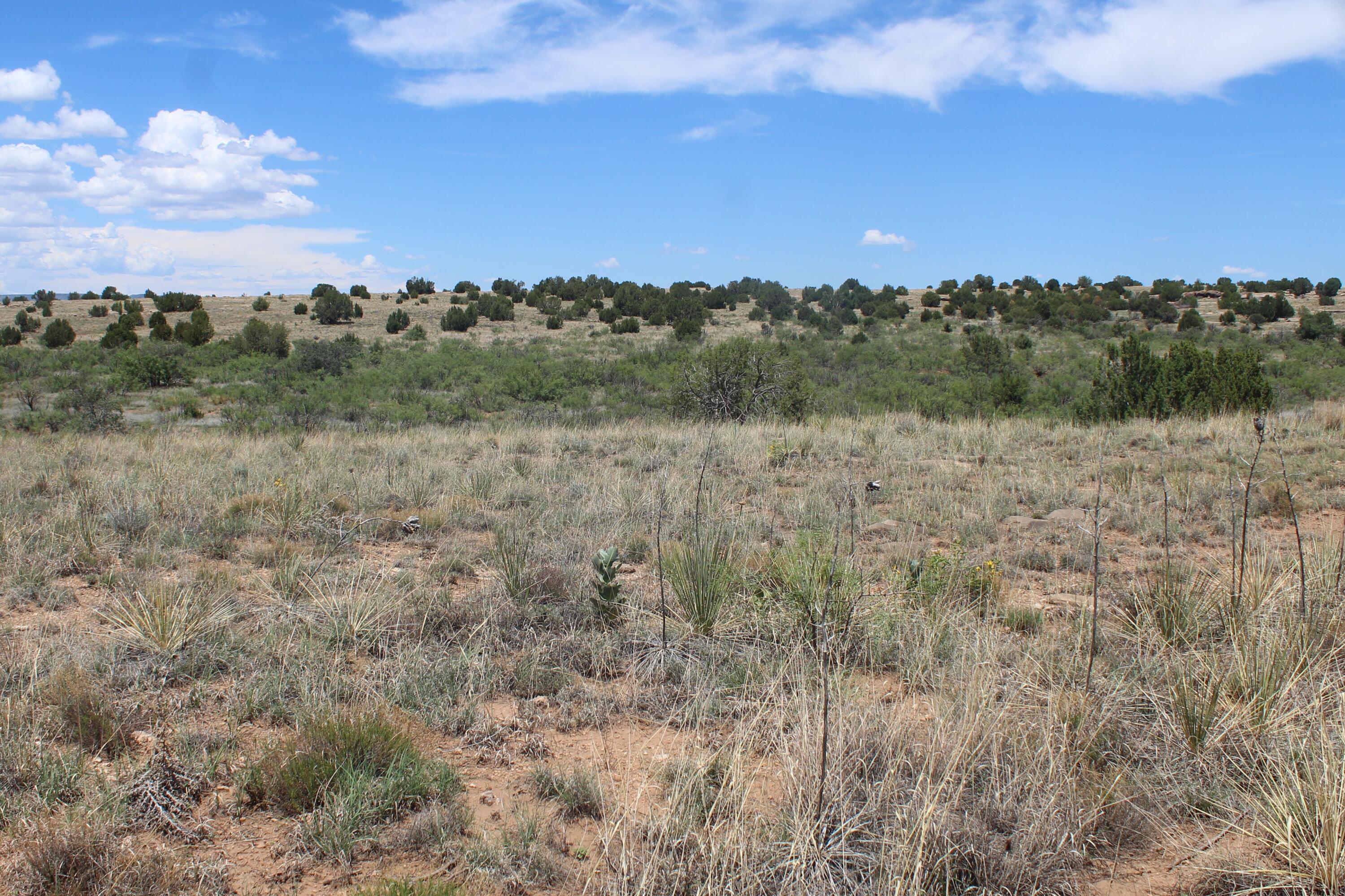 County Road C-57-D
