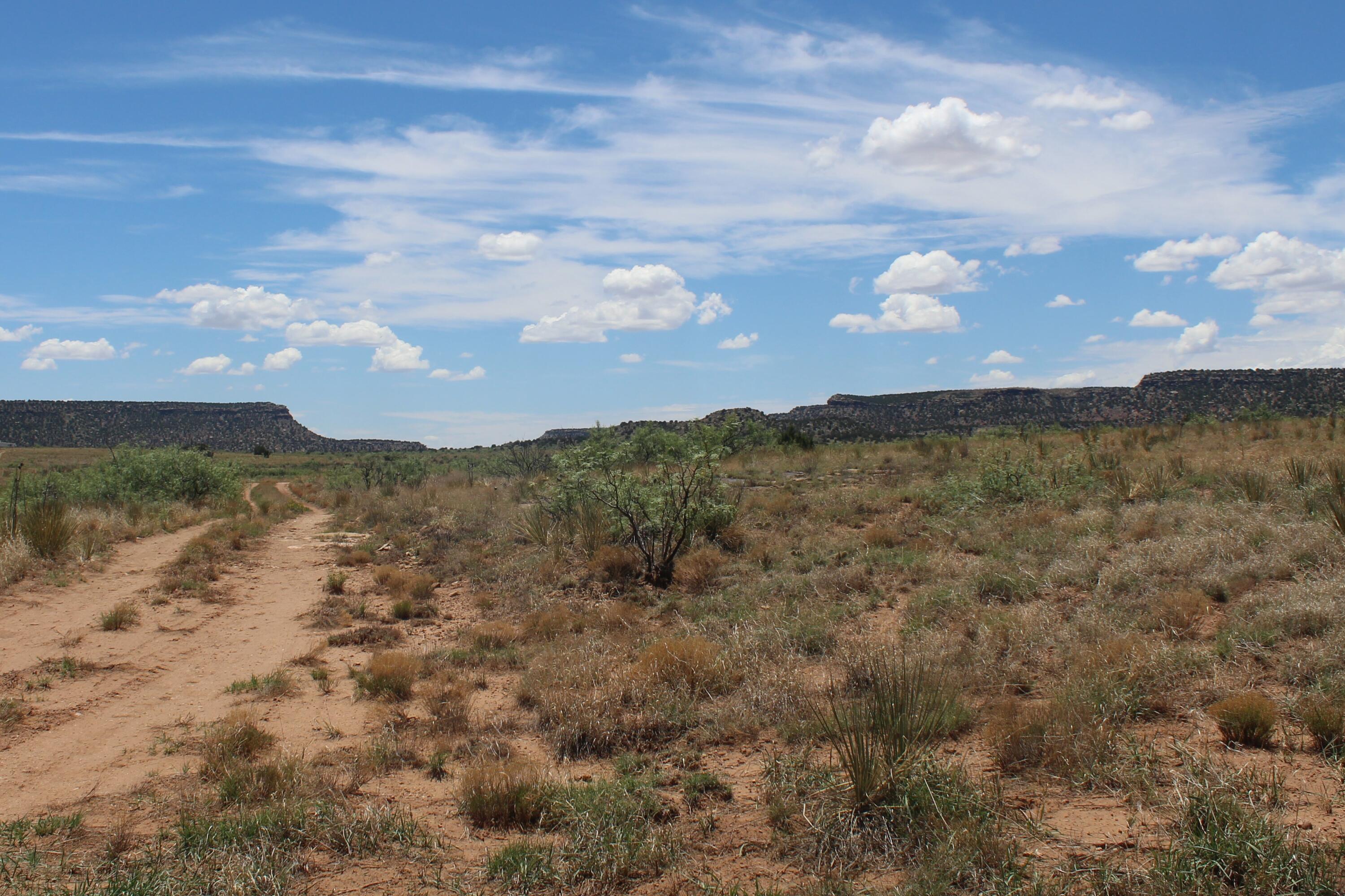 County Road C-57-D