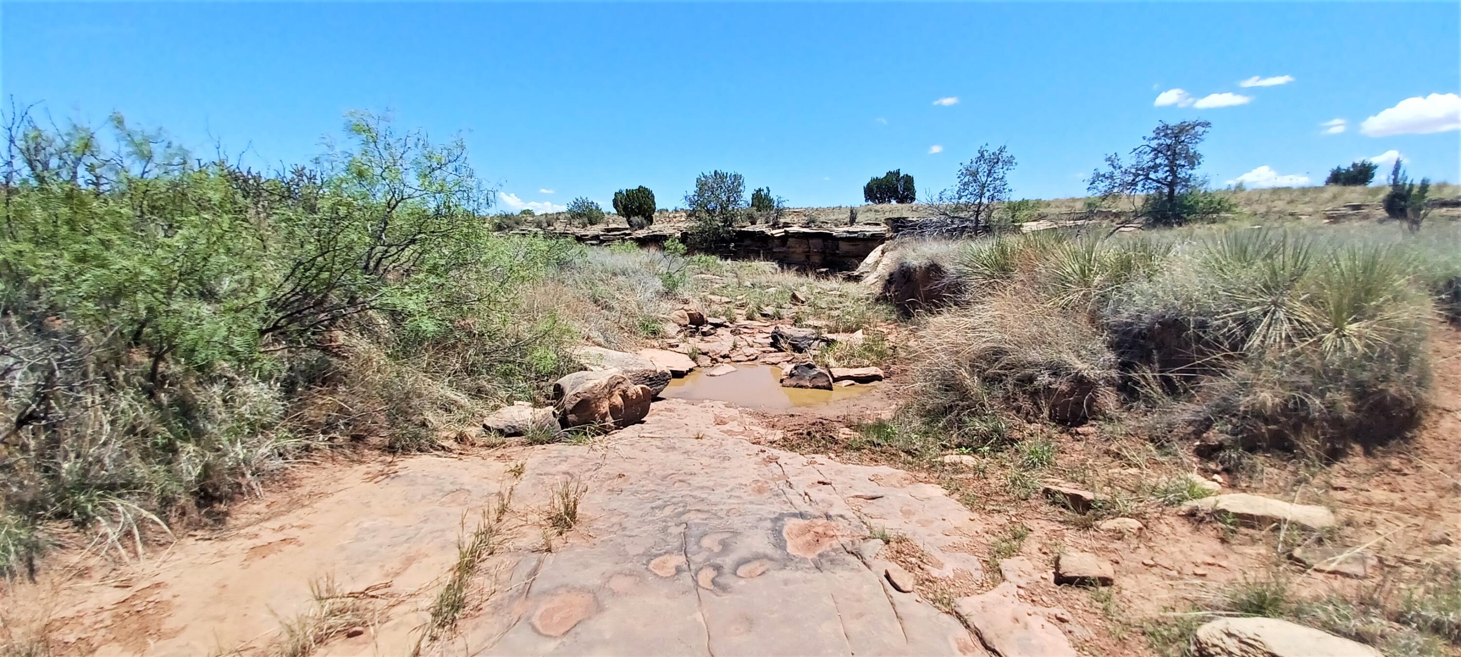 County Road C-57-D