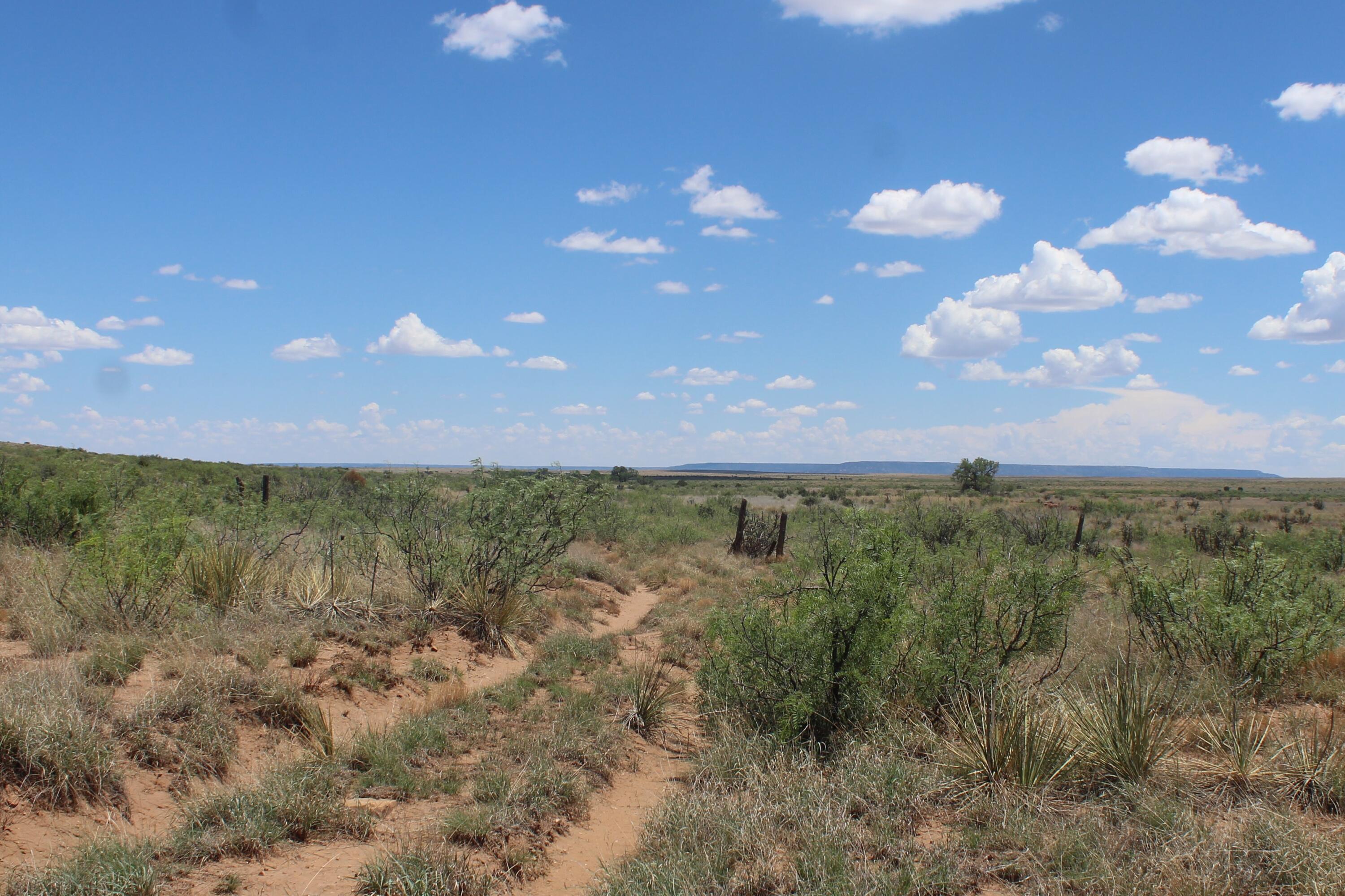 County Road C-57-D