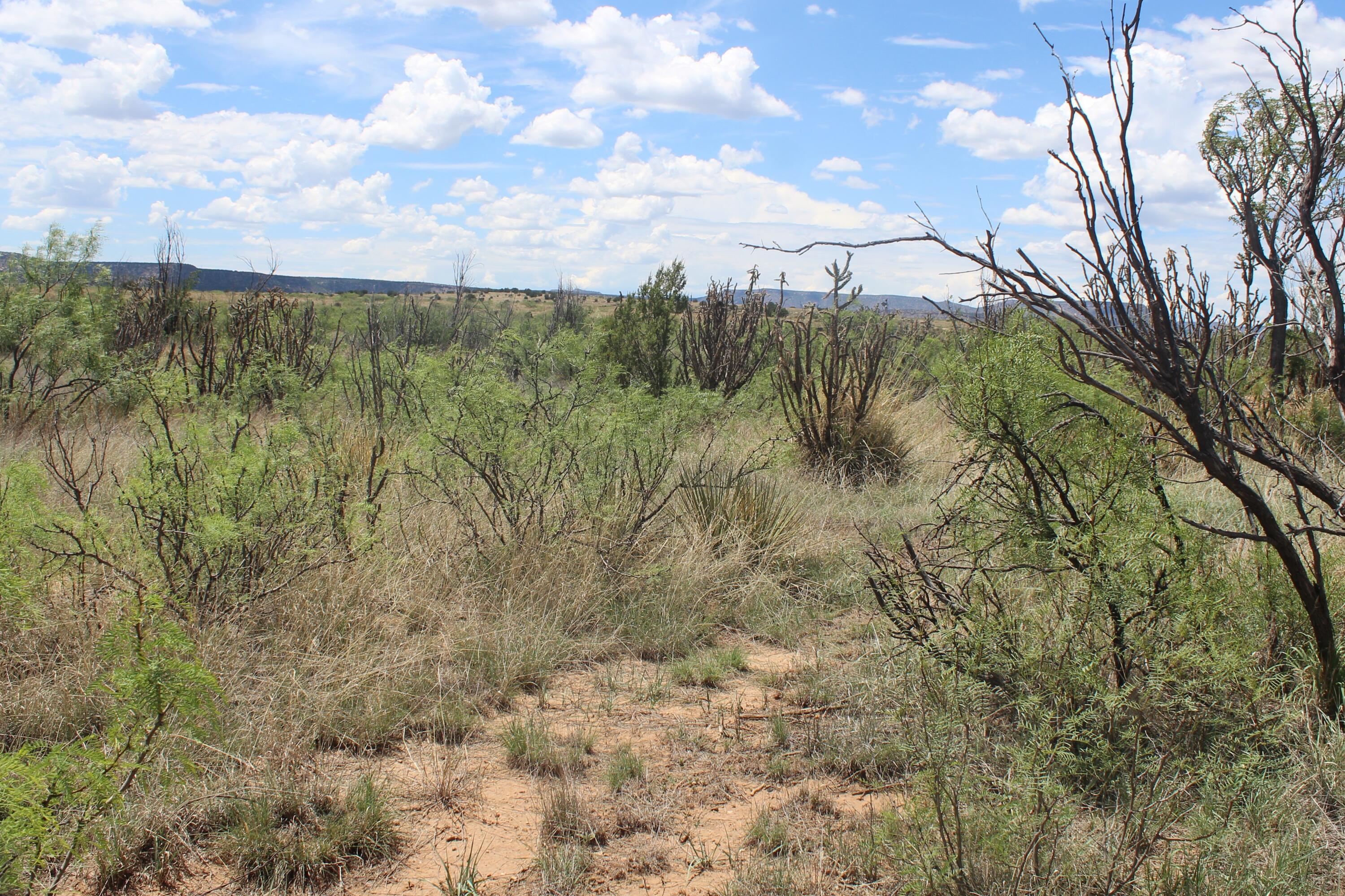 County Road C-57-D