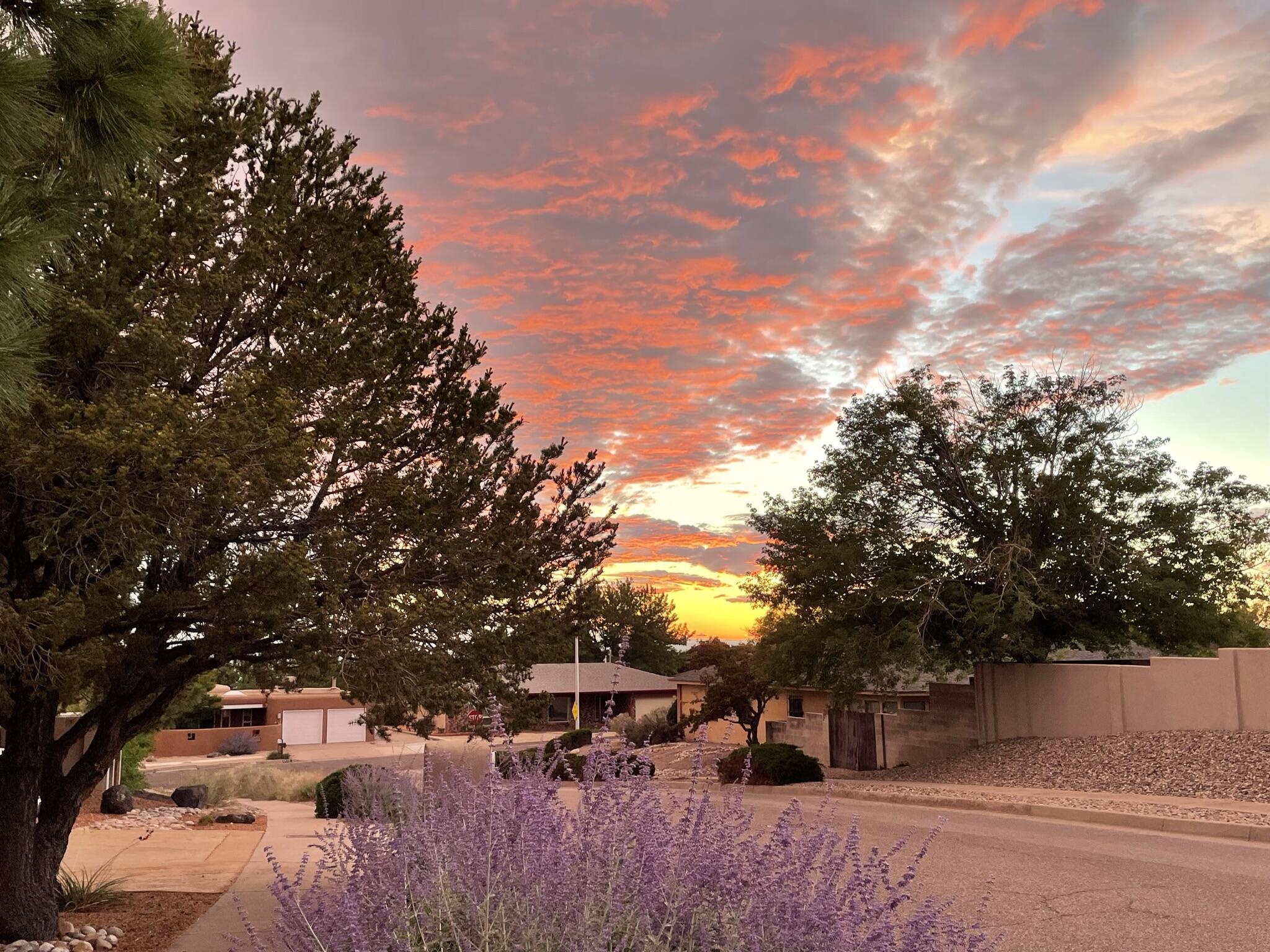 13108 Tierra Montanosa Drive NE