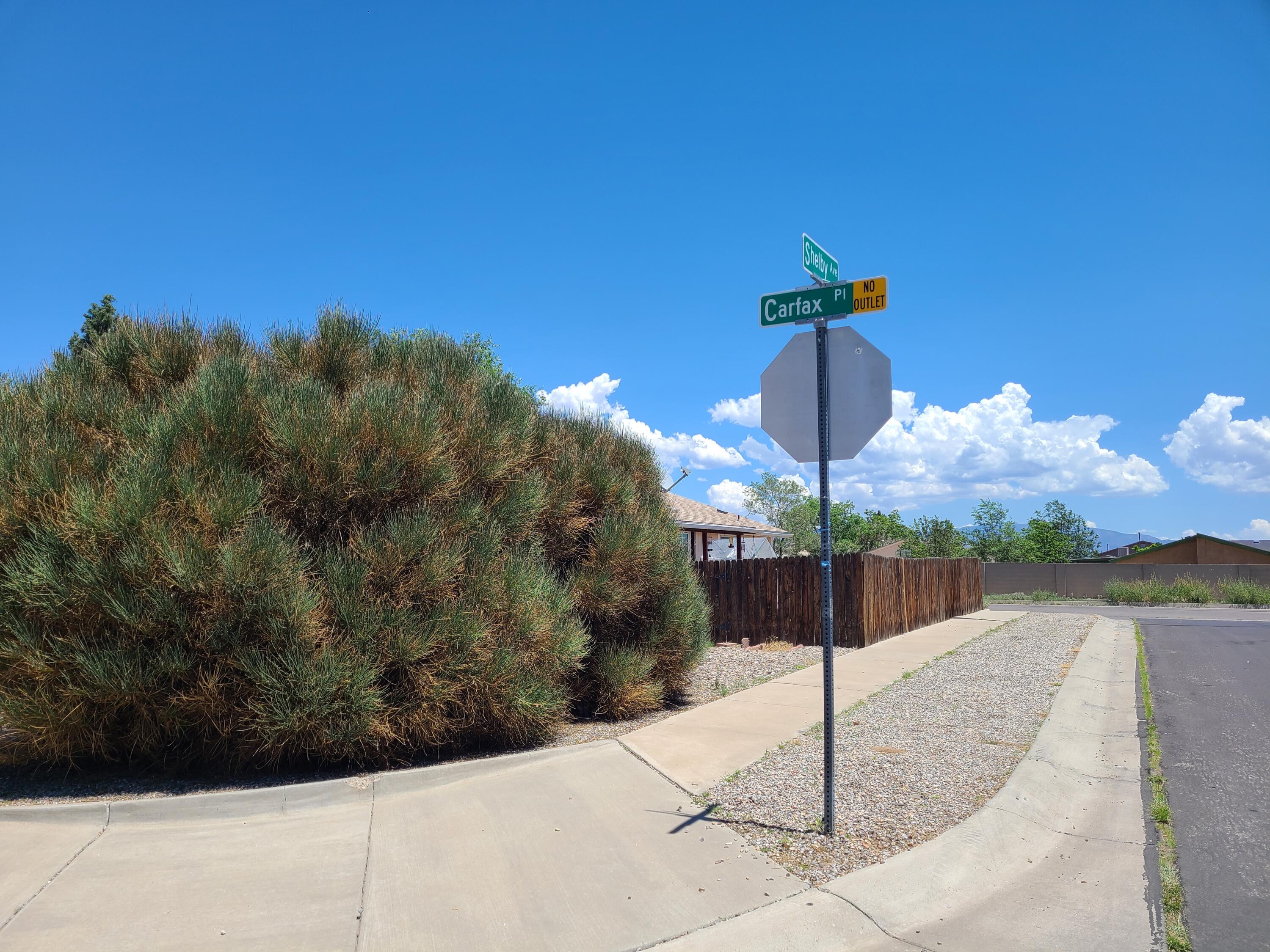 416 Carfax Place SW