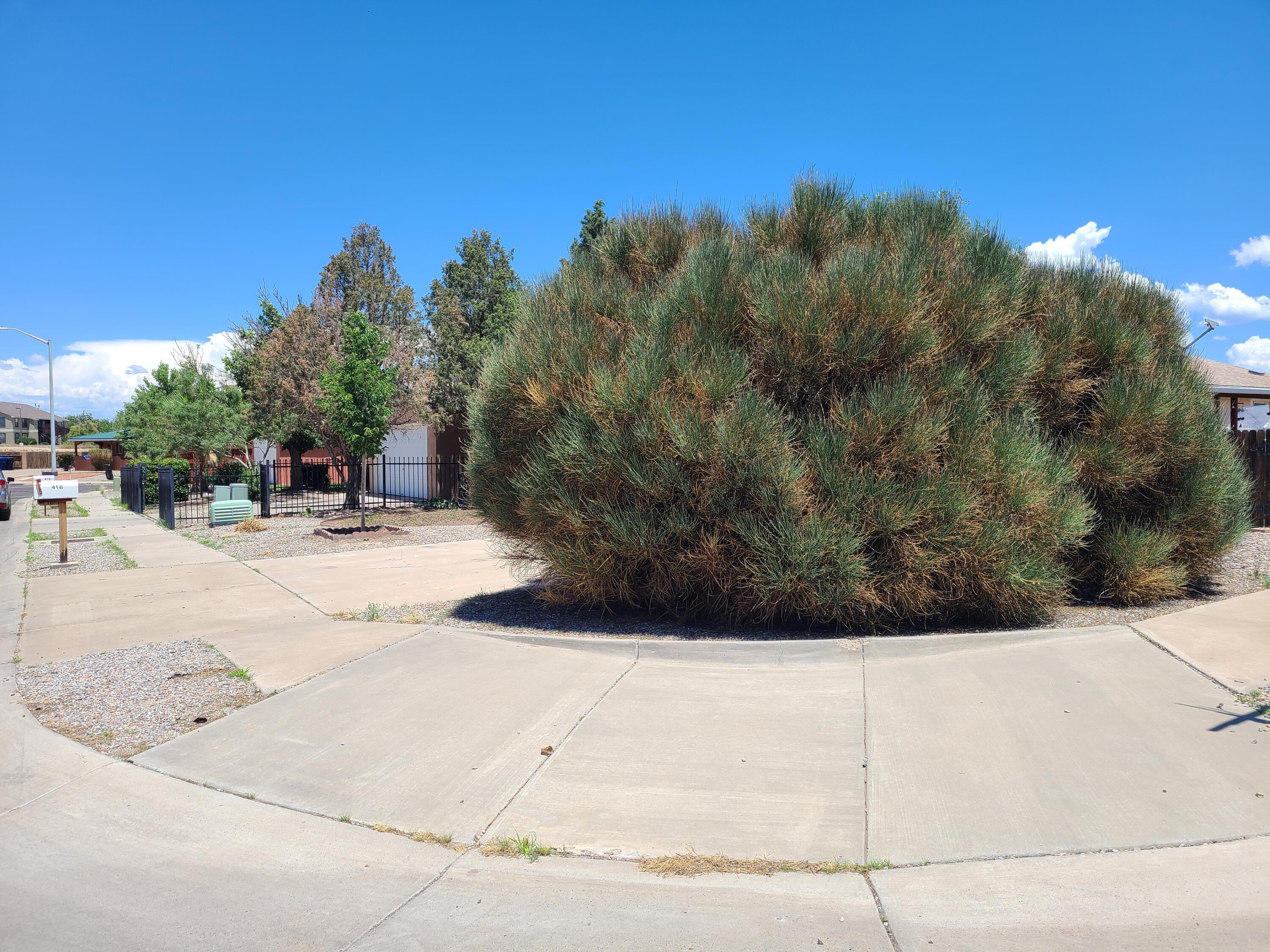 416 Carfax Place SW