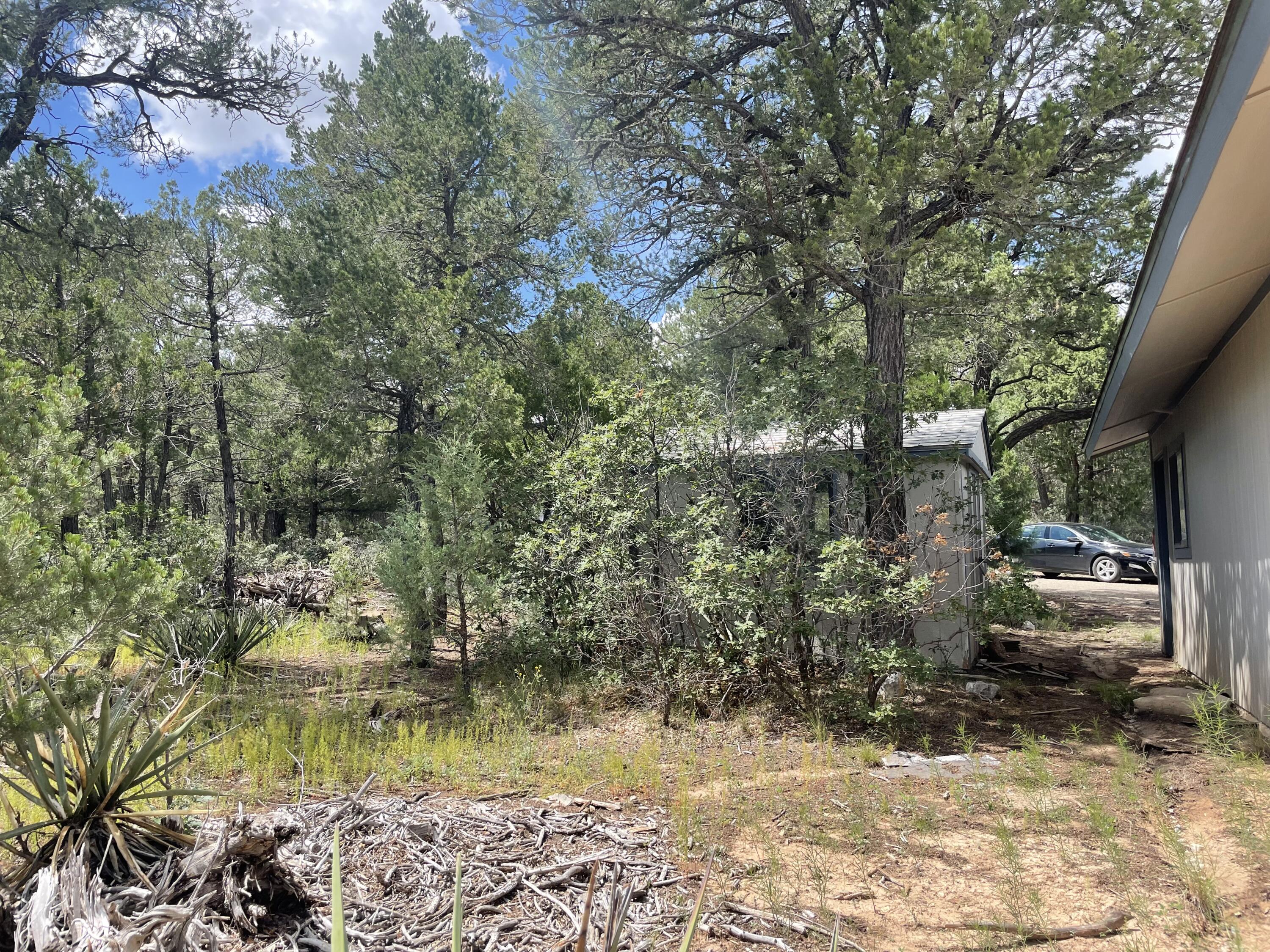 71 BUCKBOARD Road