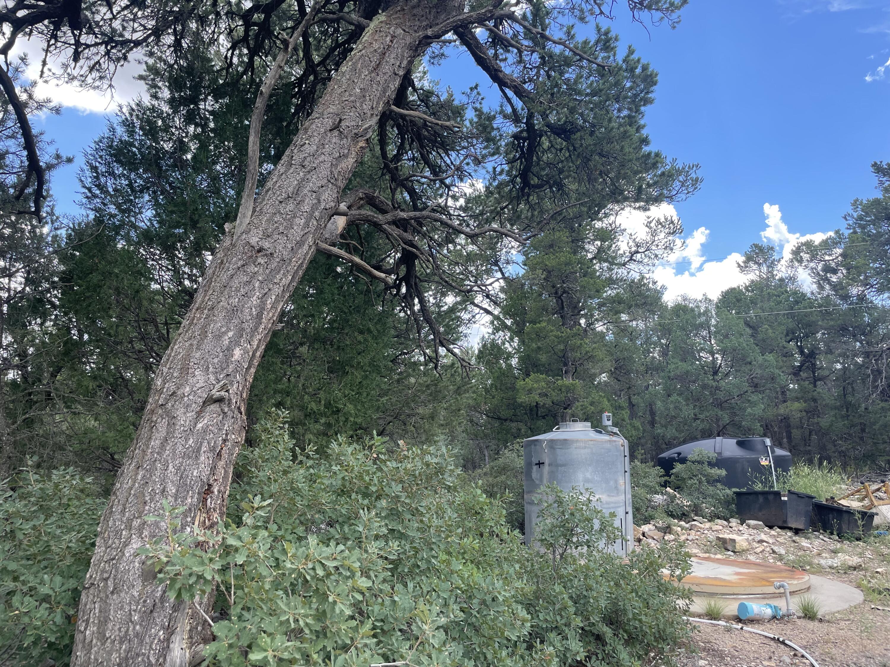 71 BUCKBOARD Road