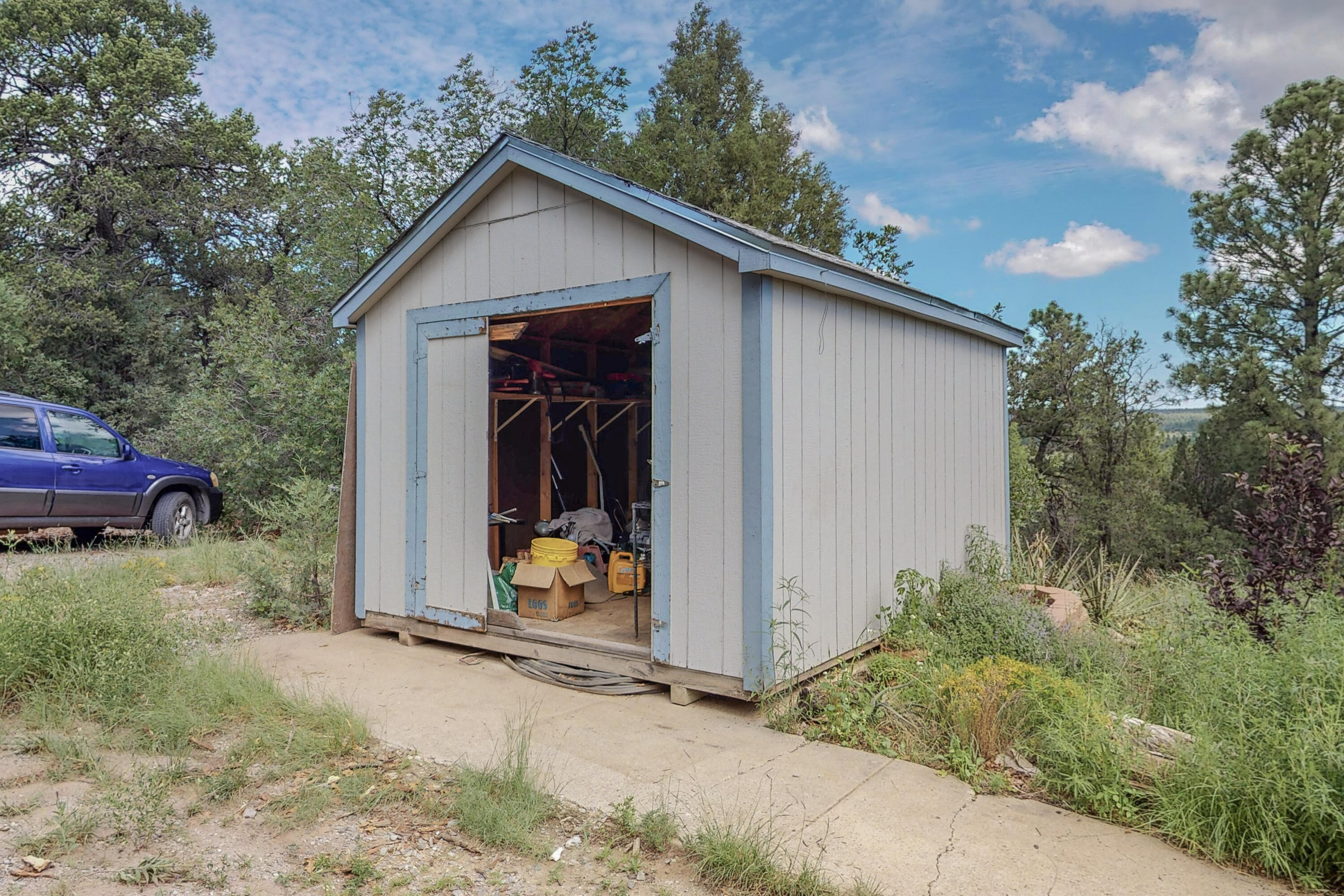 71 BUCKBOARD Road