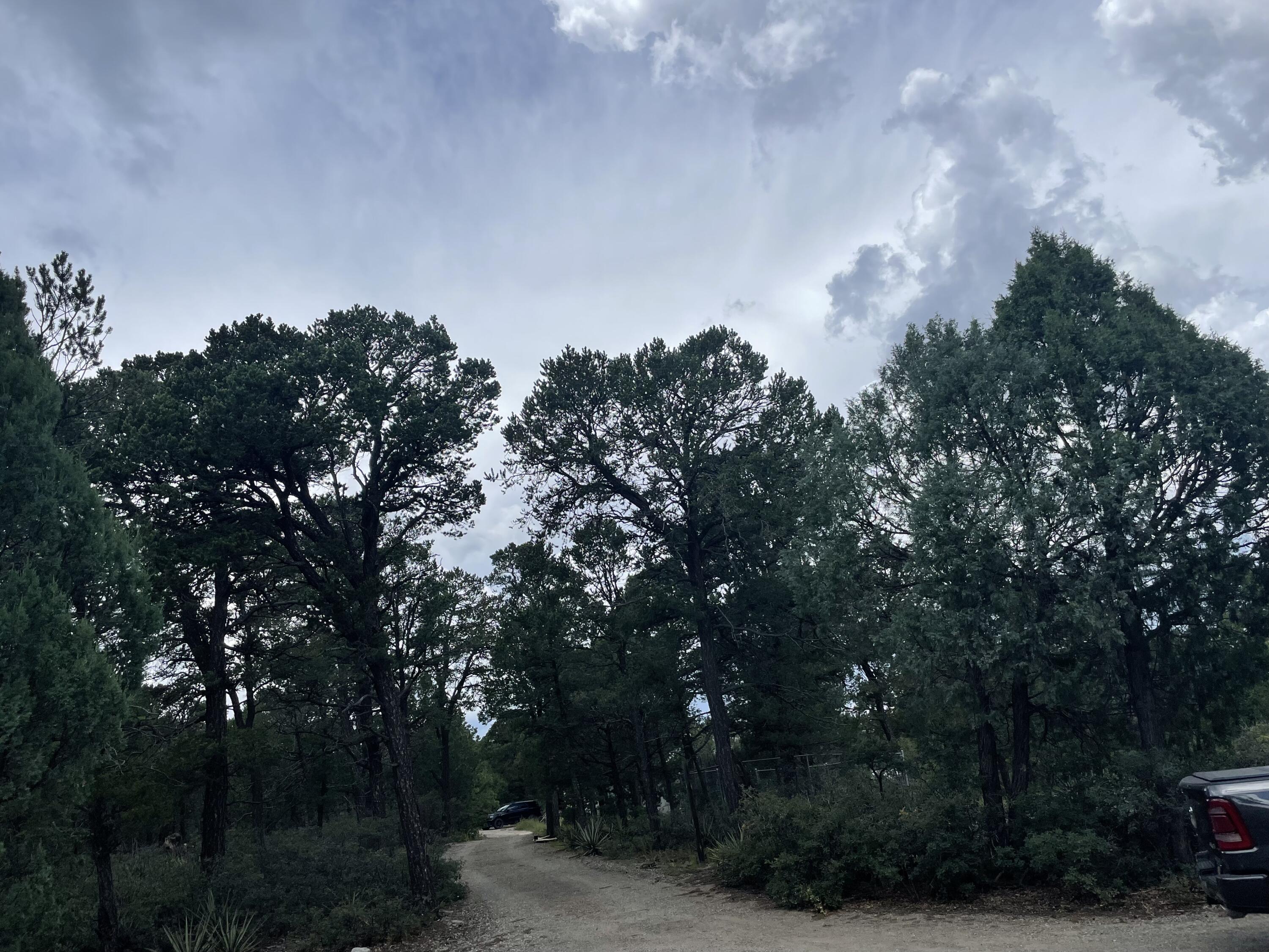 71 BUCKBOARD Road
