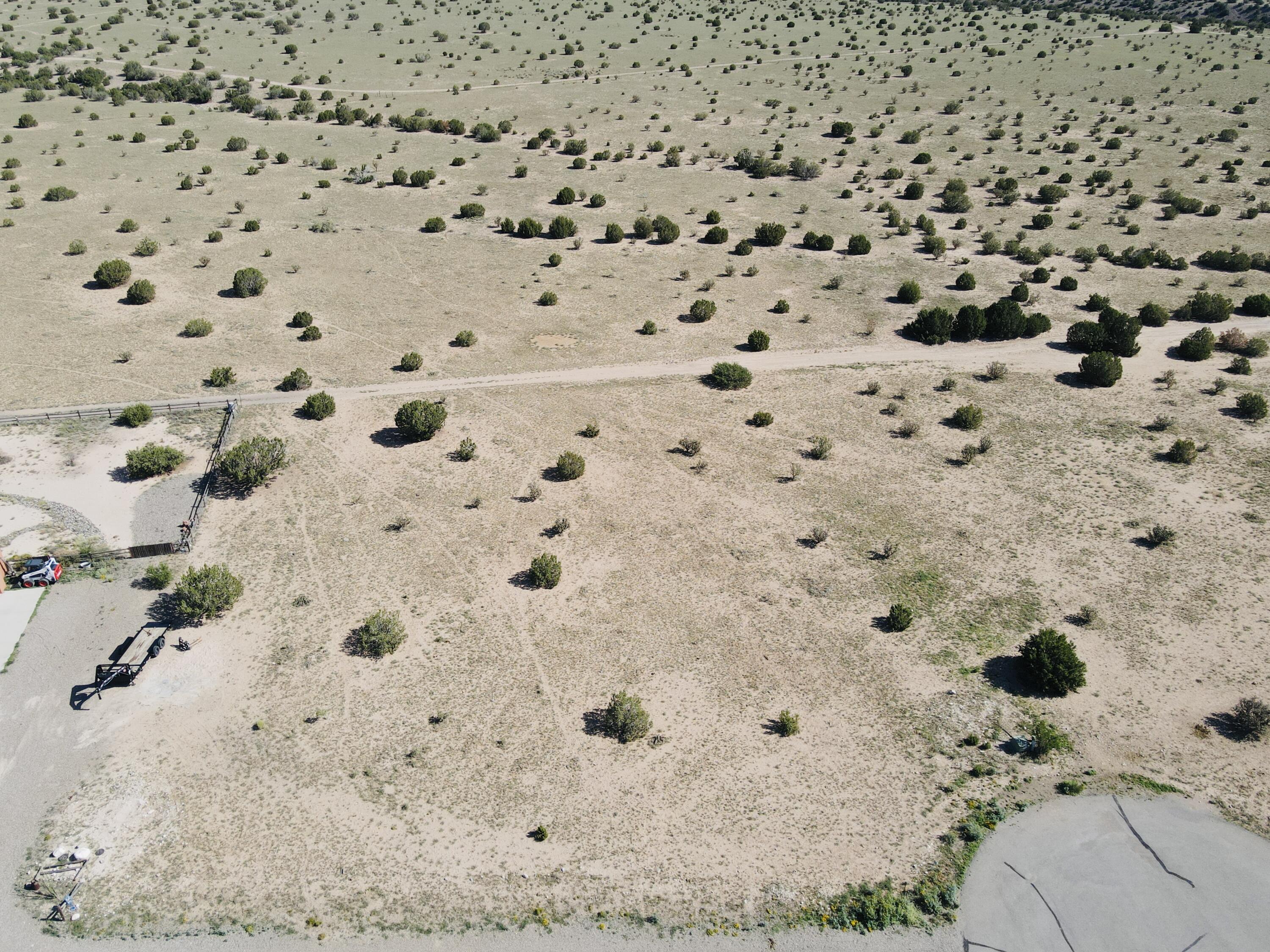 31 Horseshoe