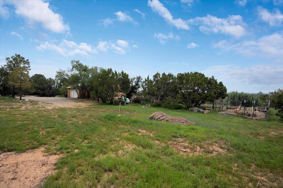 38 THUNDER MOUNTAIN Road