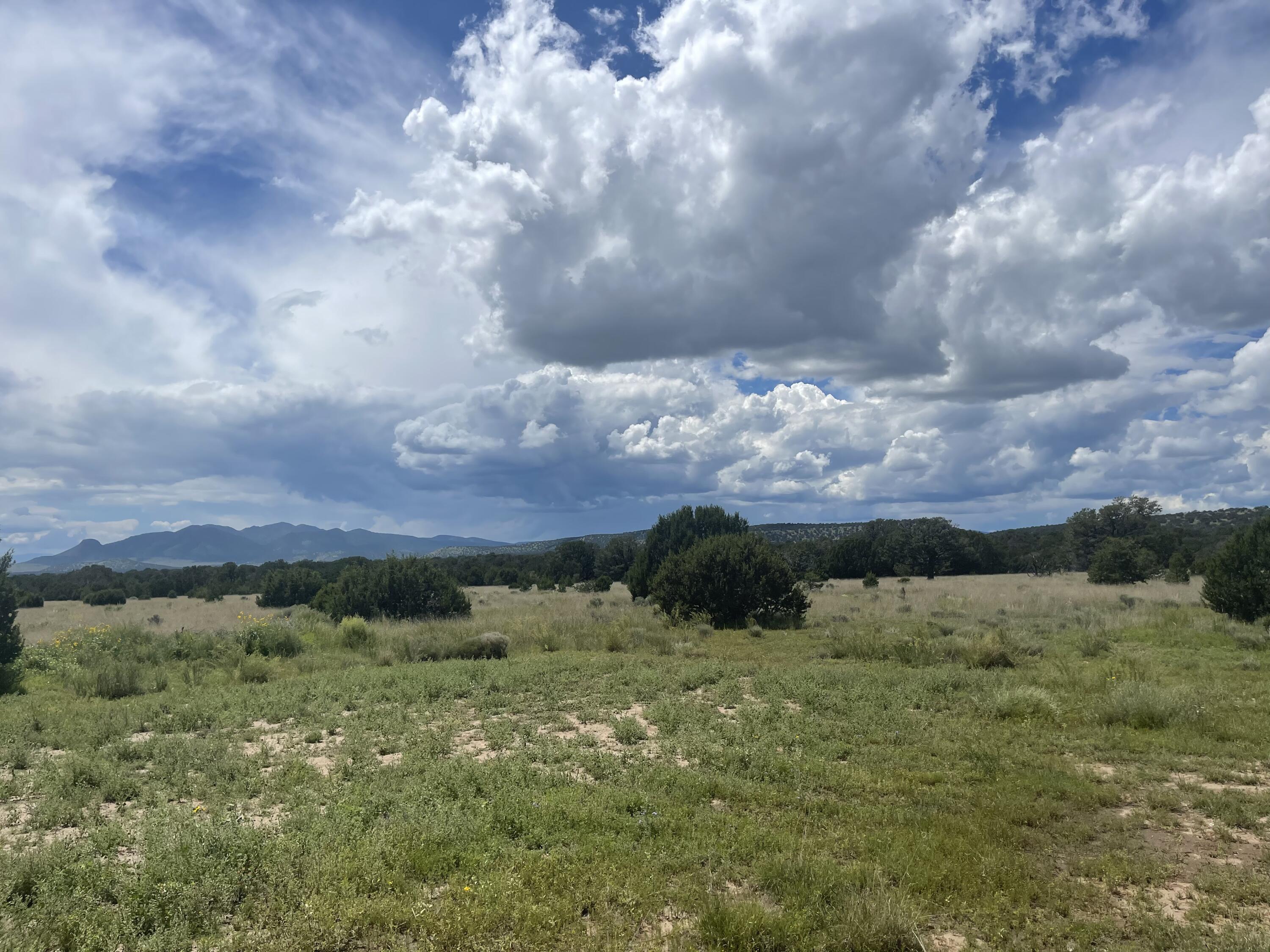 458 Southern Trail