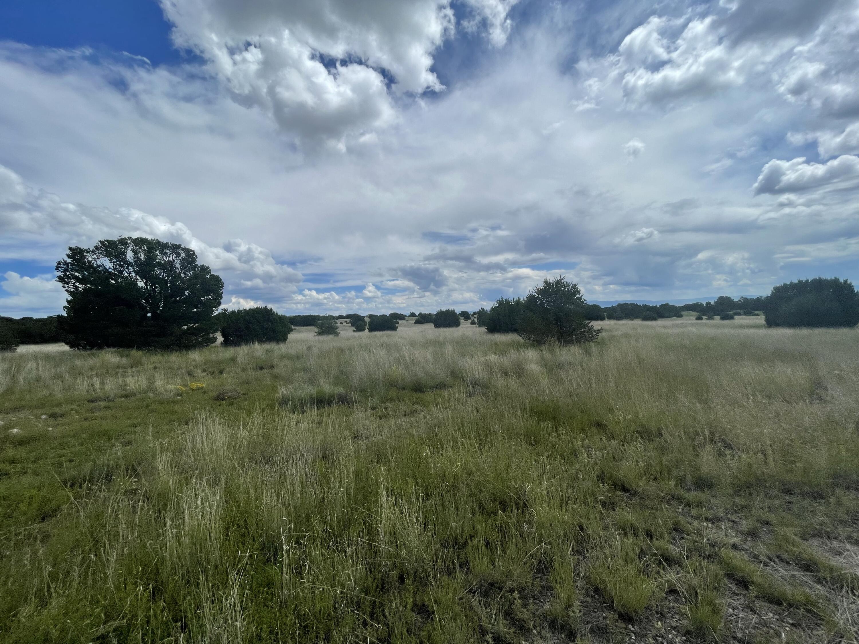 458 Southern Trail