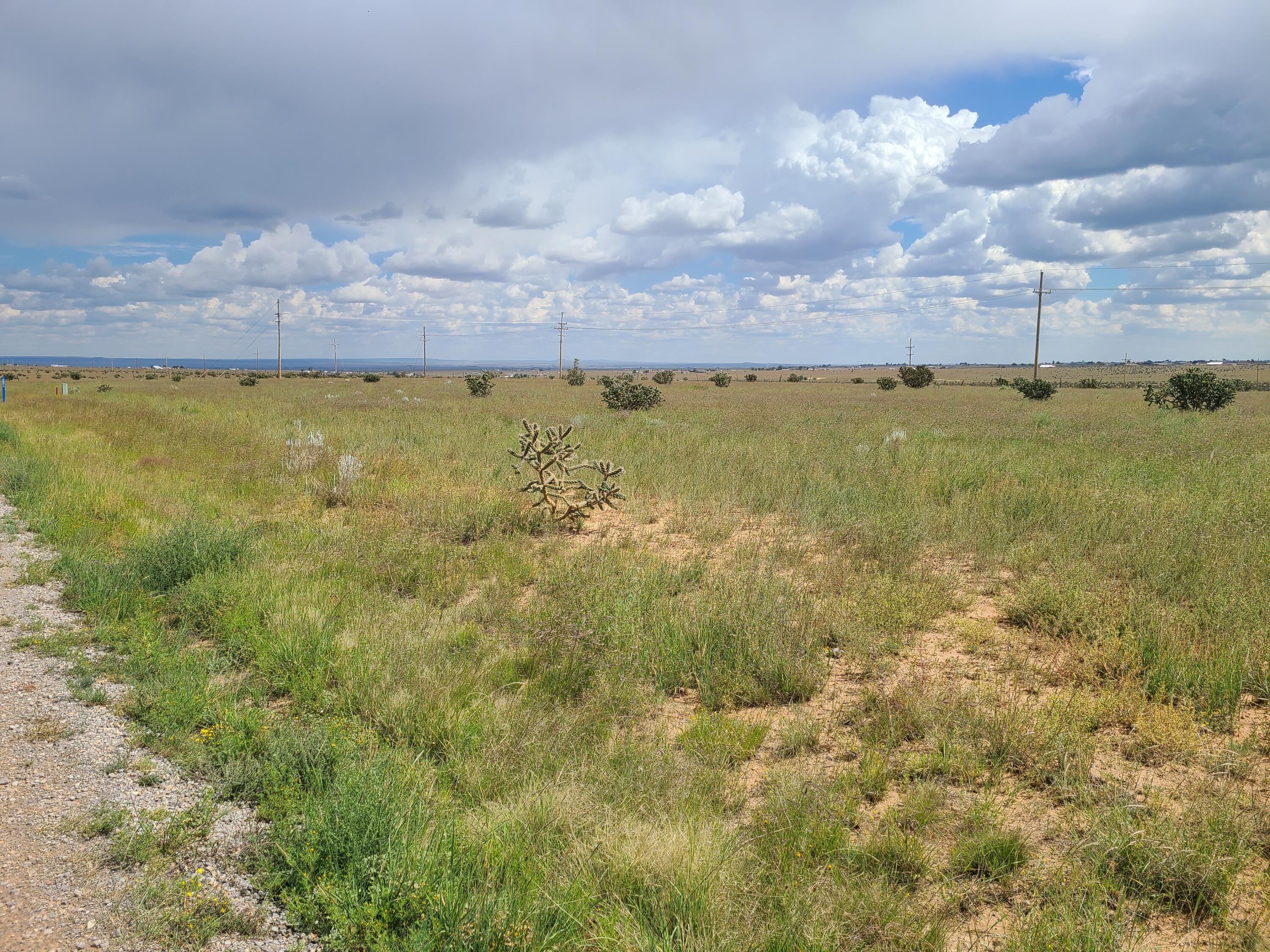 94 High Meadow Loop