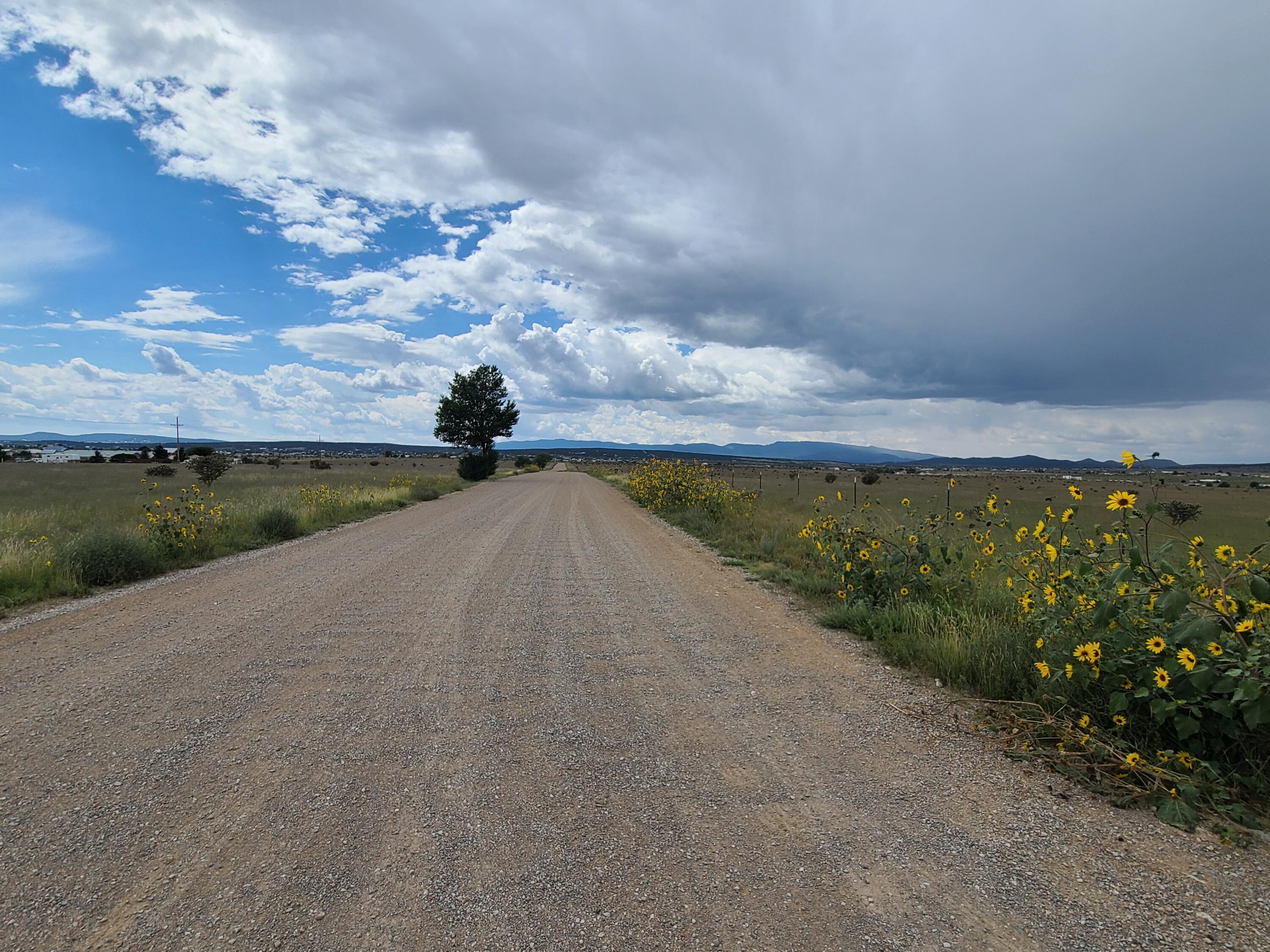 94 High Meadow Loop
