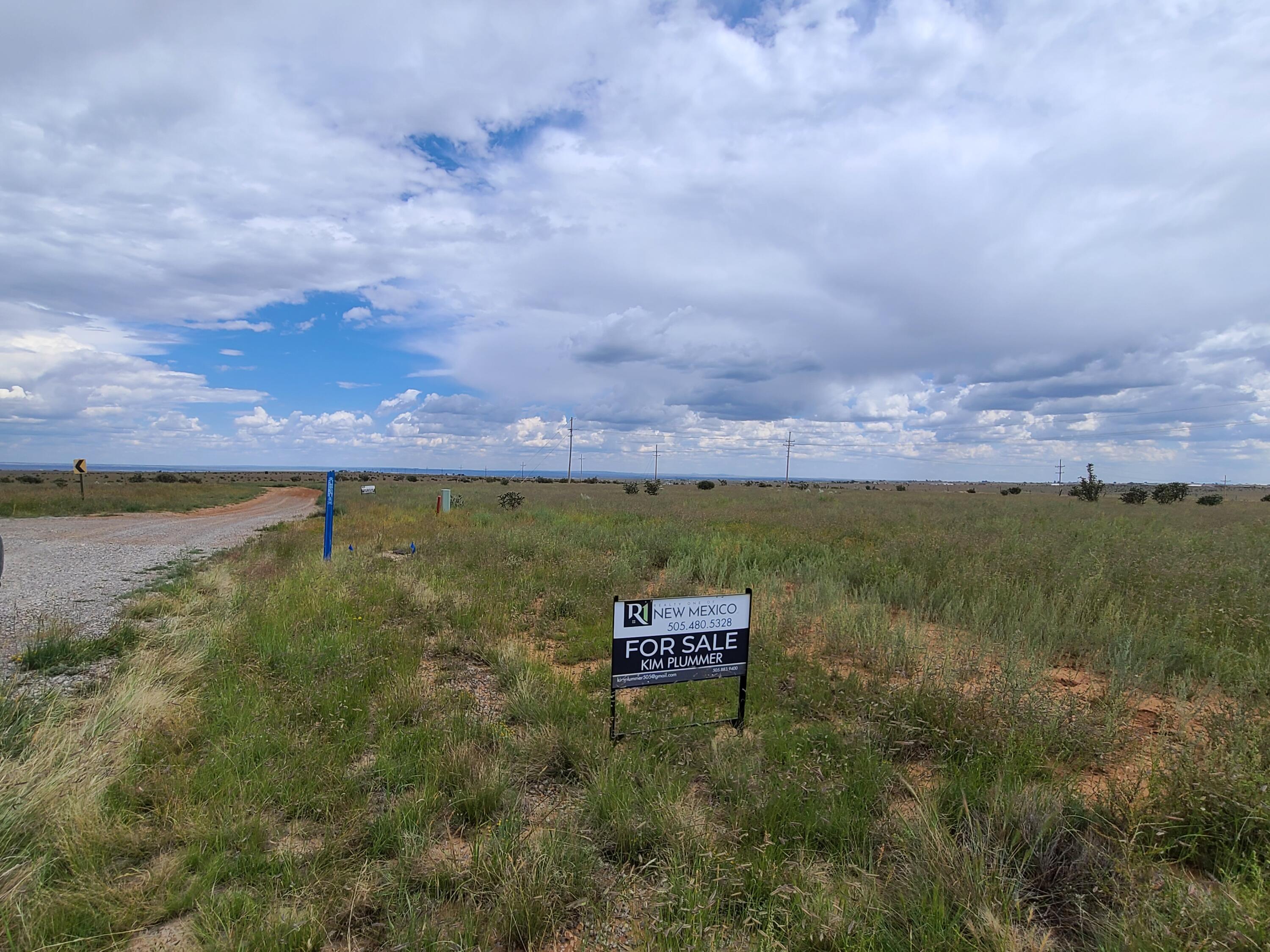 90 High Meadow Loop