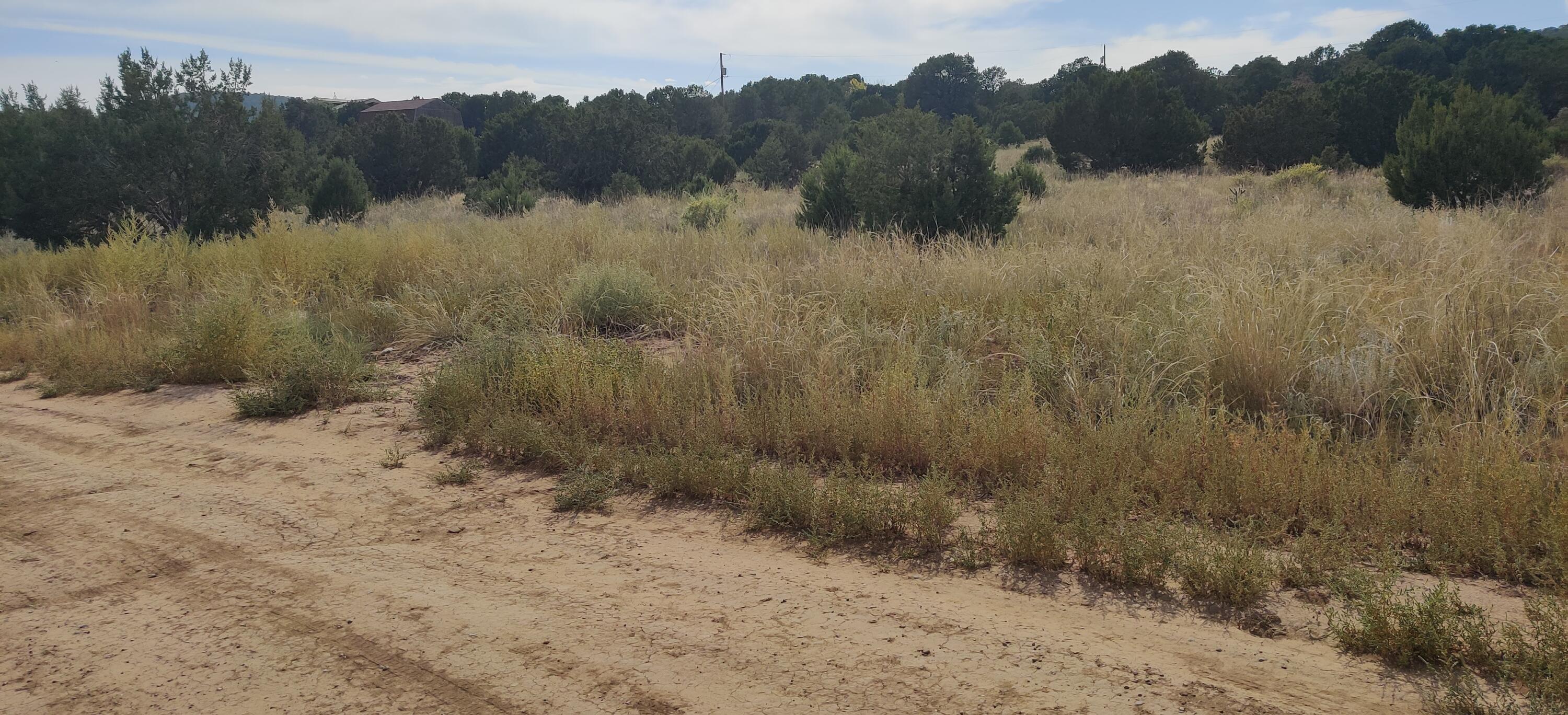19 Edge Of Woods Road