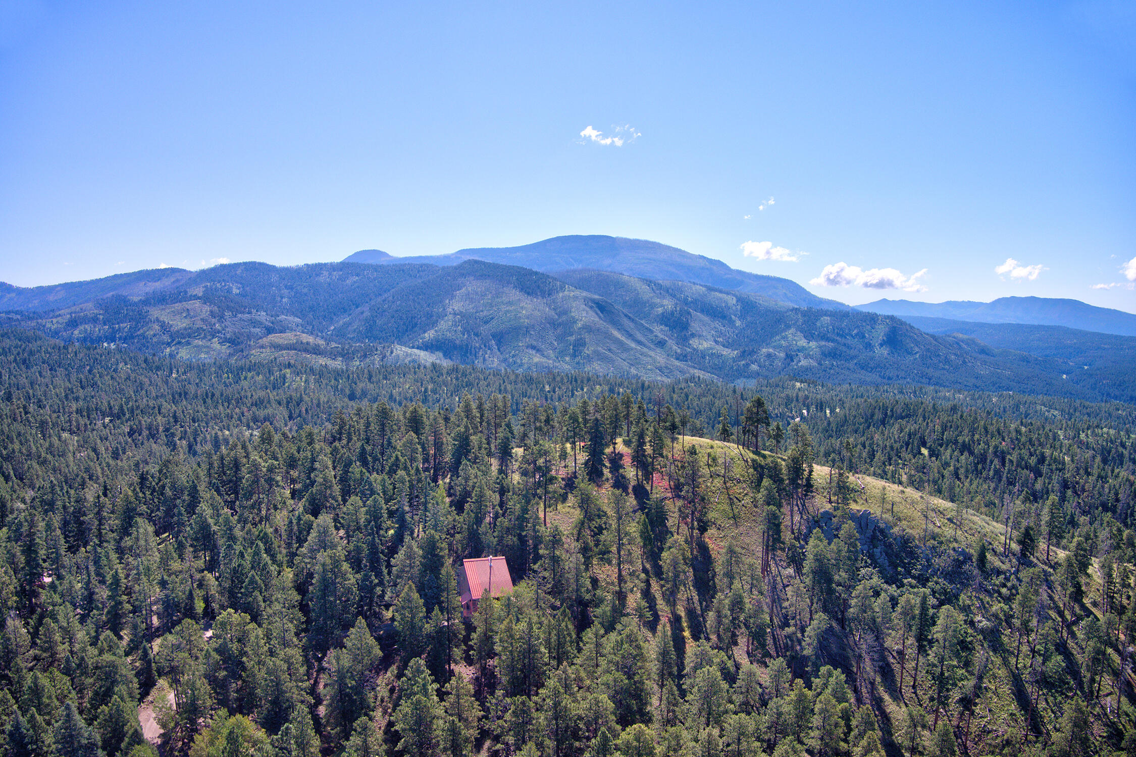226 TURKEY Trail