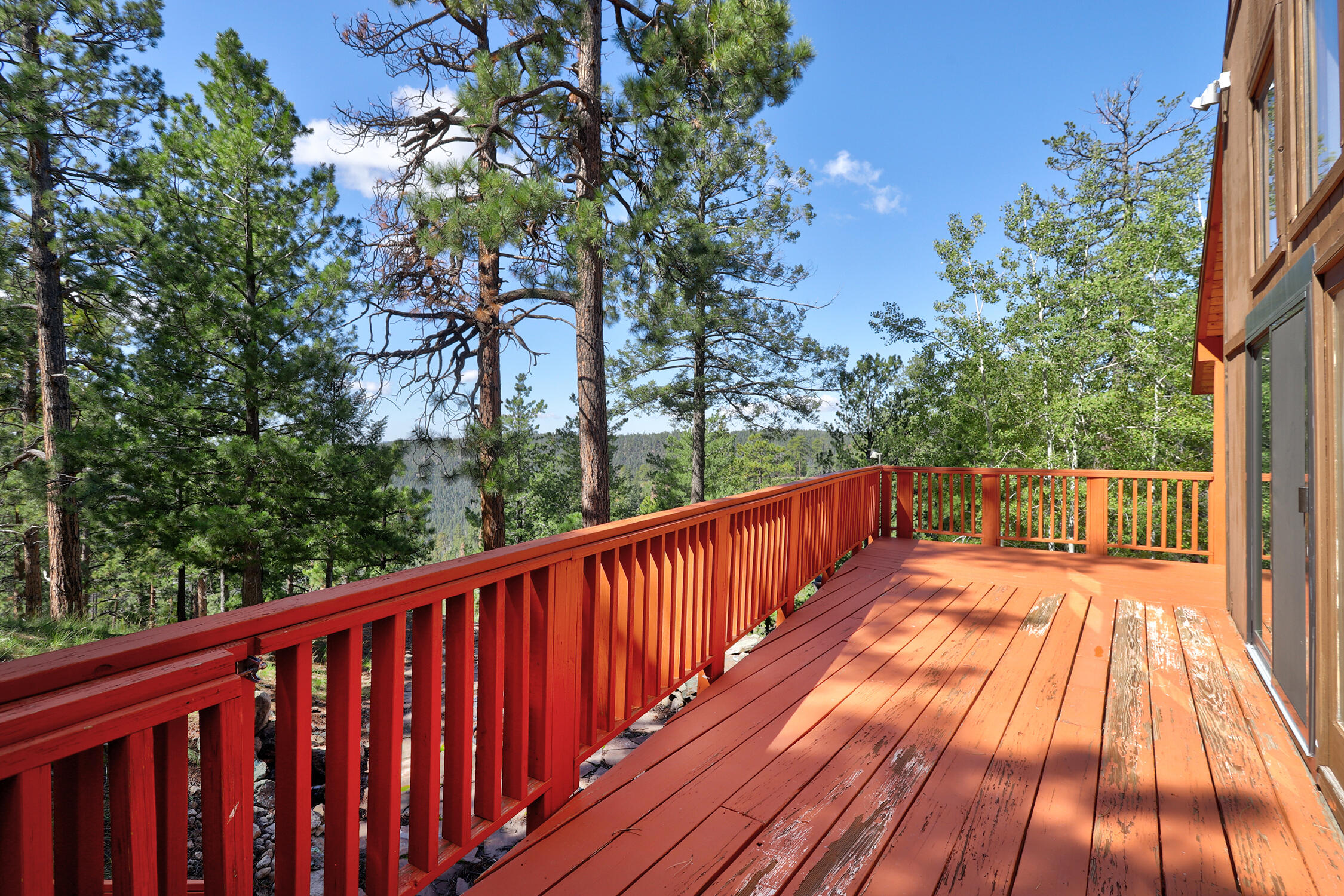 226 TURKEY Trail