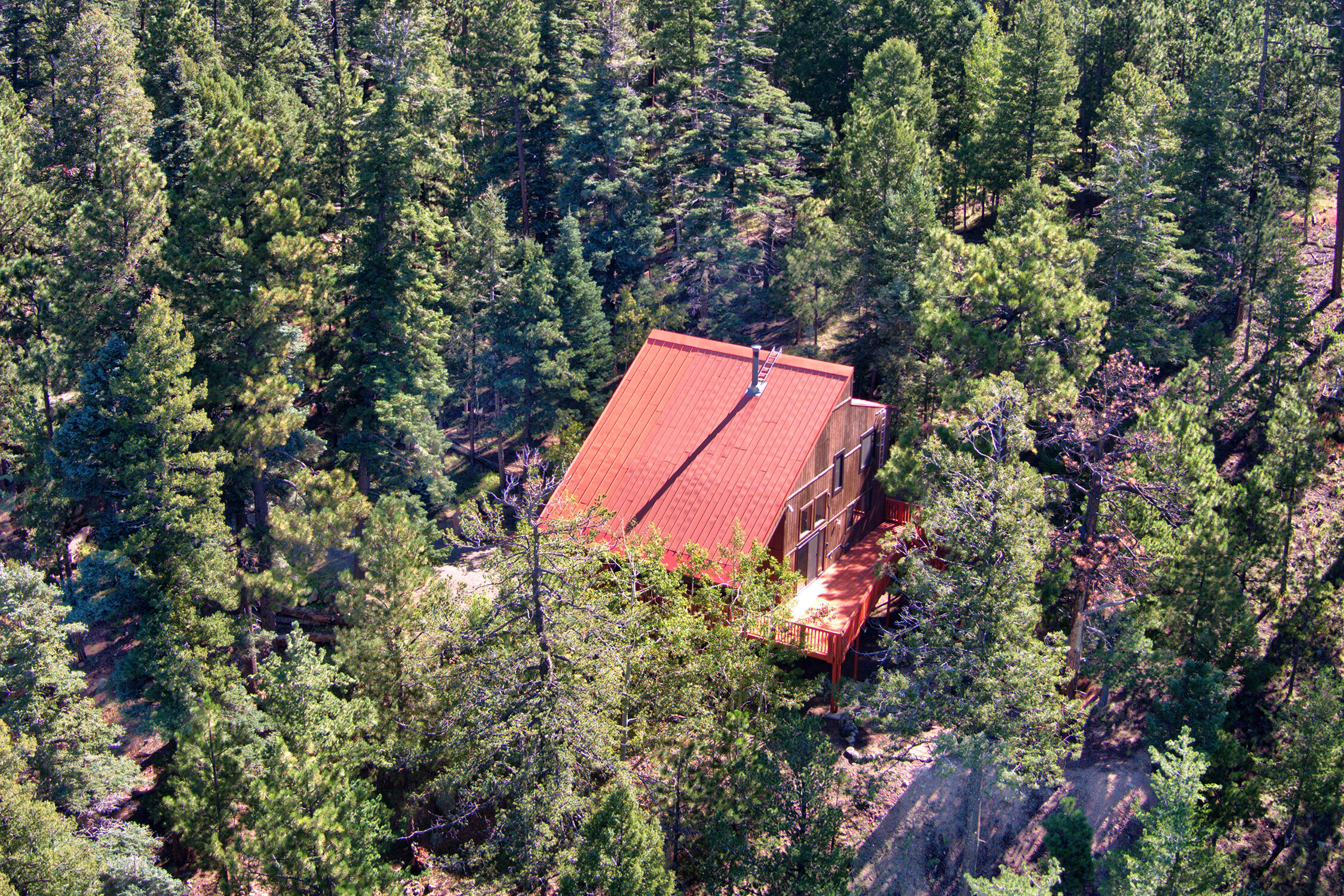 226 TURKEY Trail