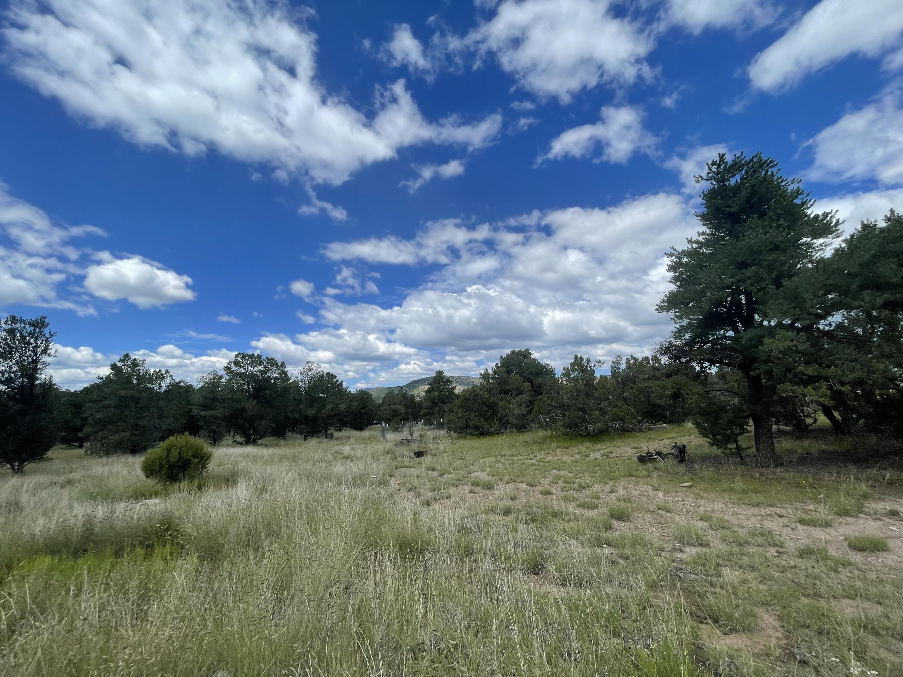 500 FRONTIER Trail