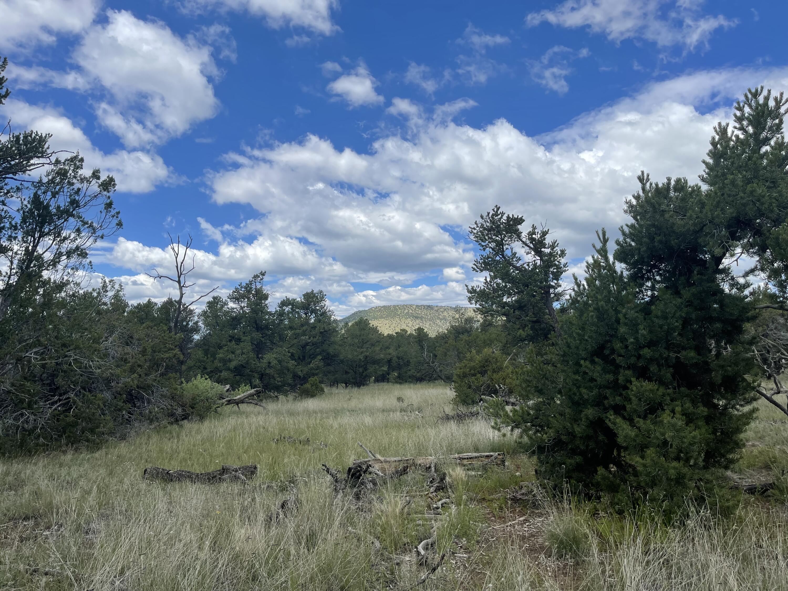 500 FRONTIER Trail