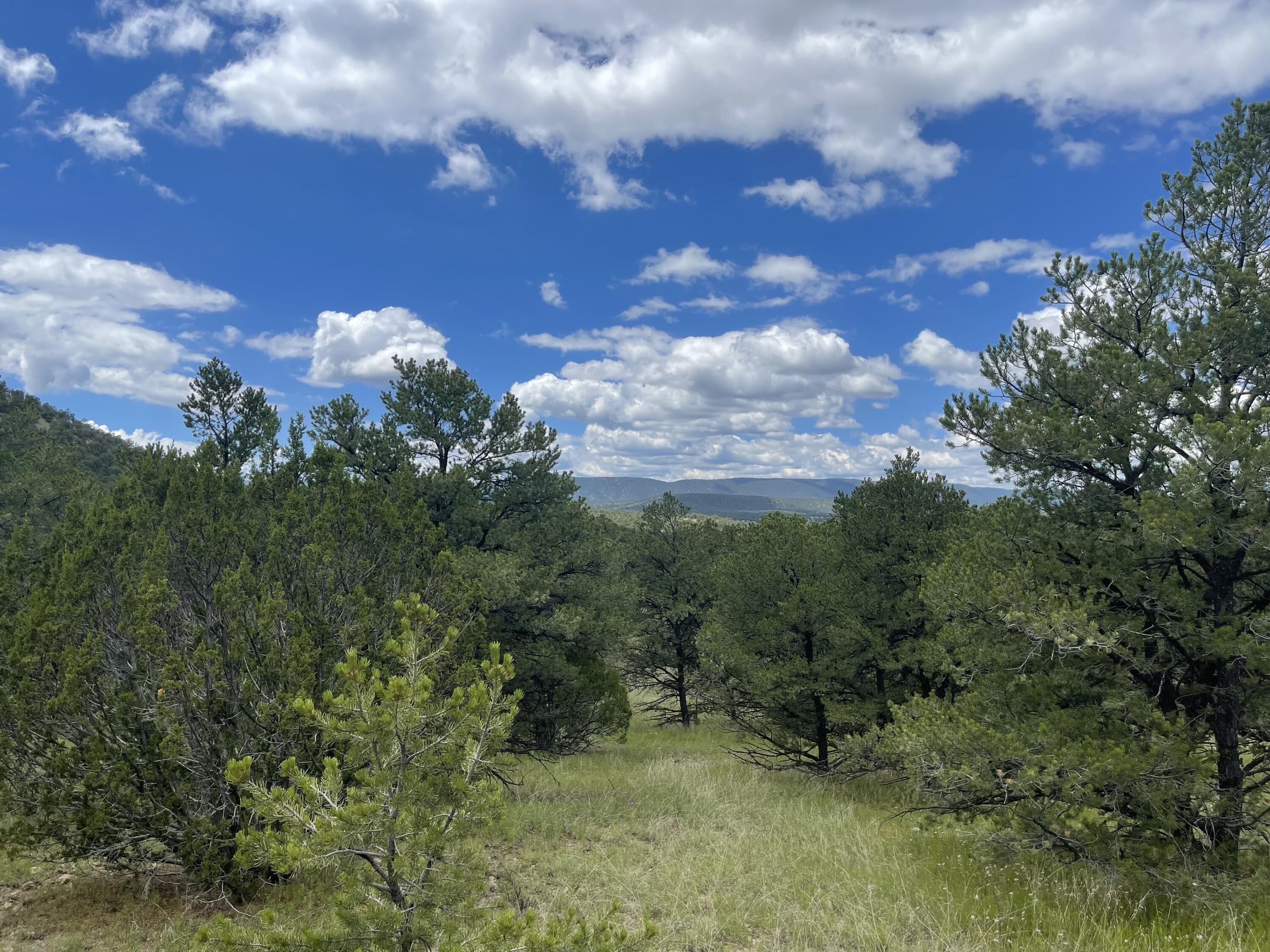 500 FRONTIER Trail