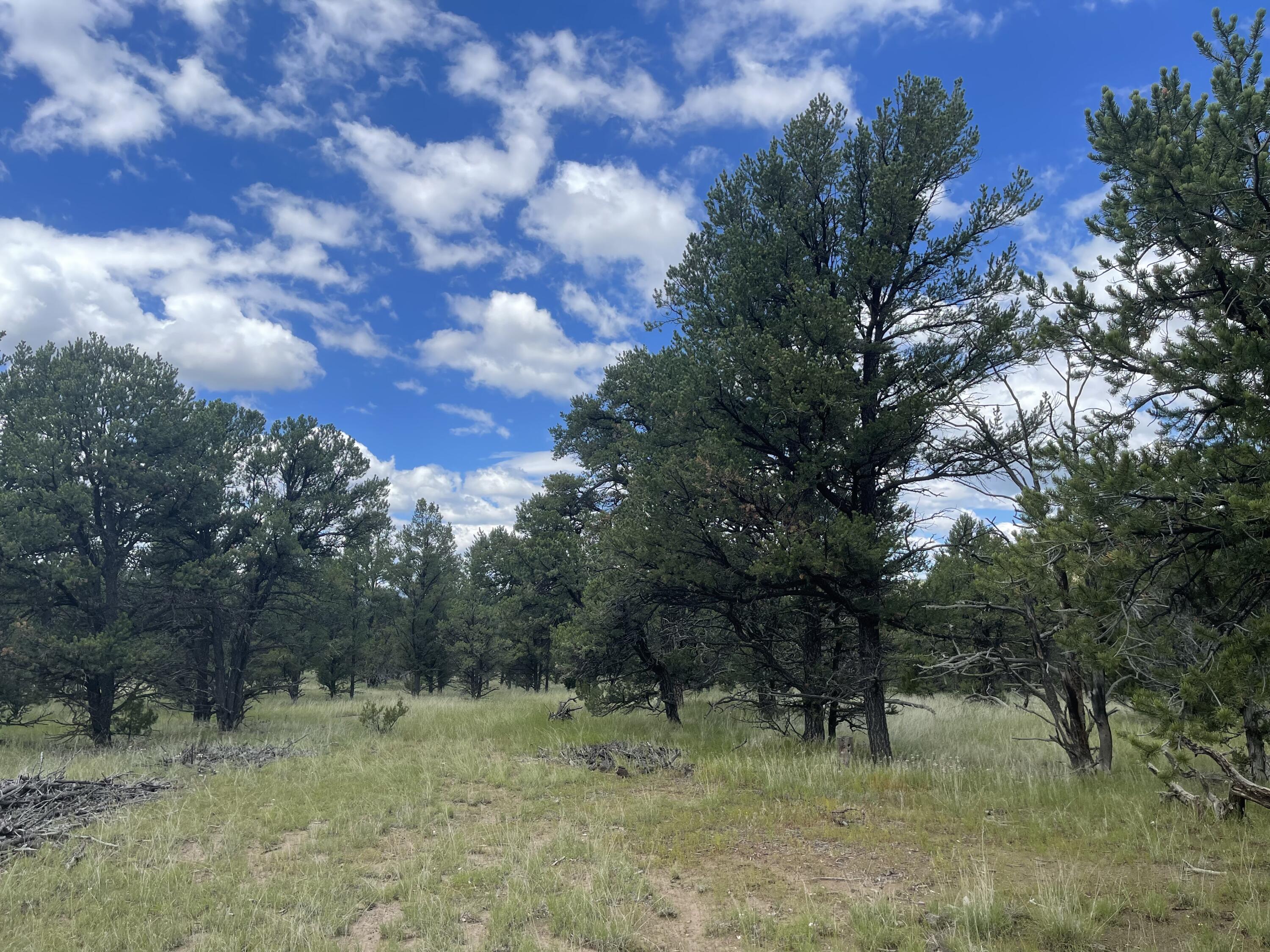 500 FRONTIER Trail