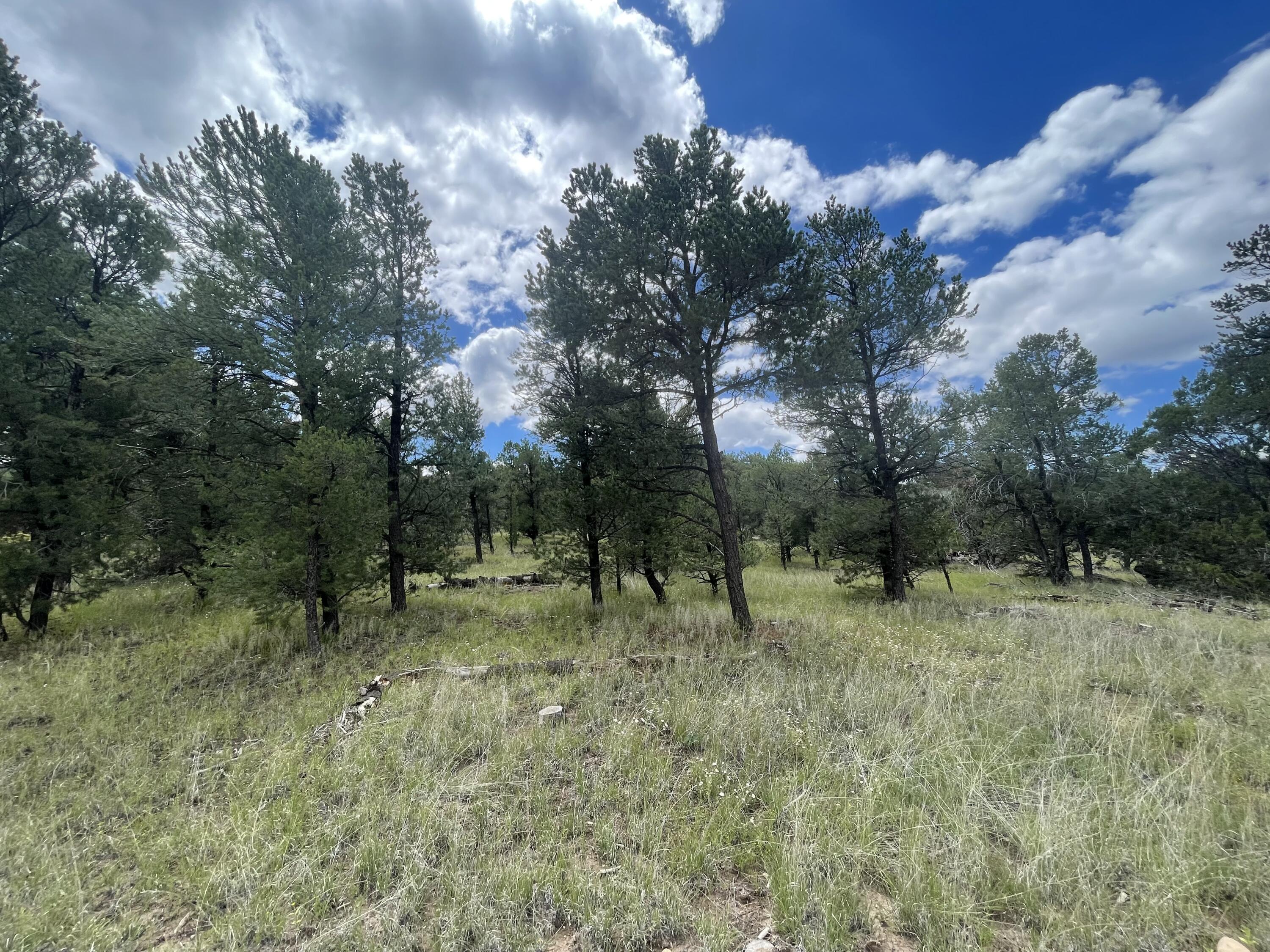 500 FRONTIER Trail