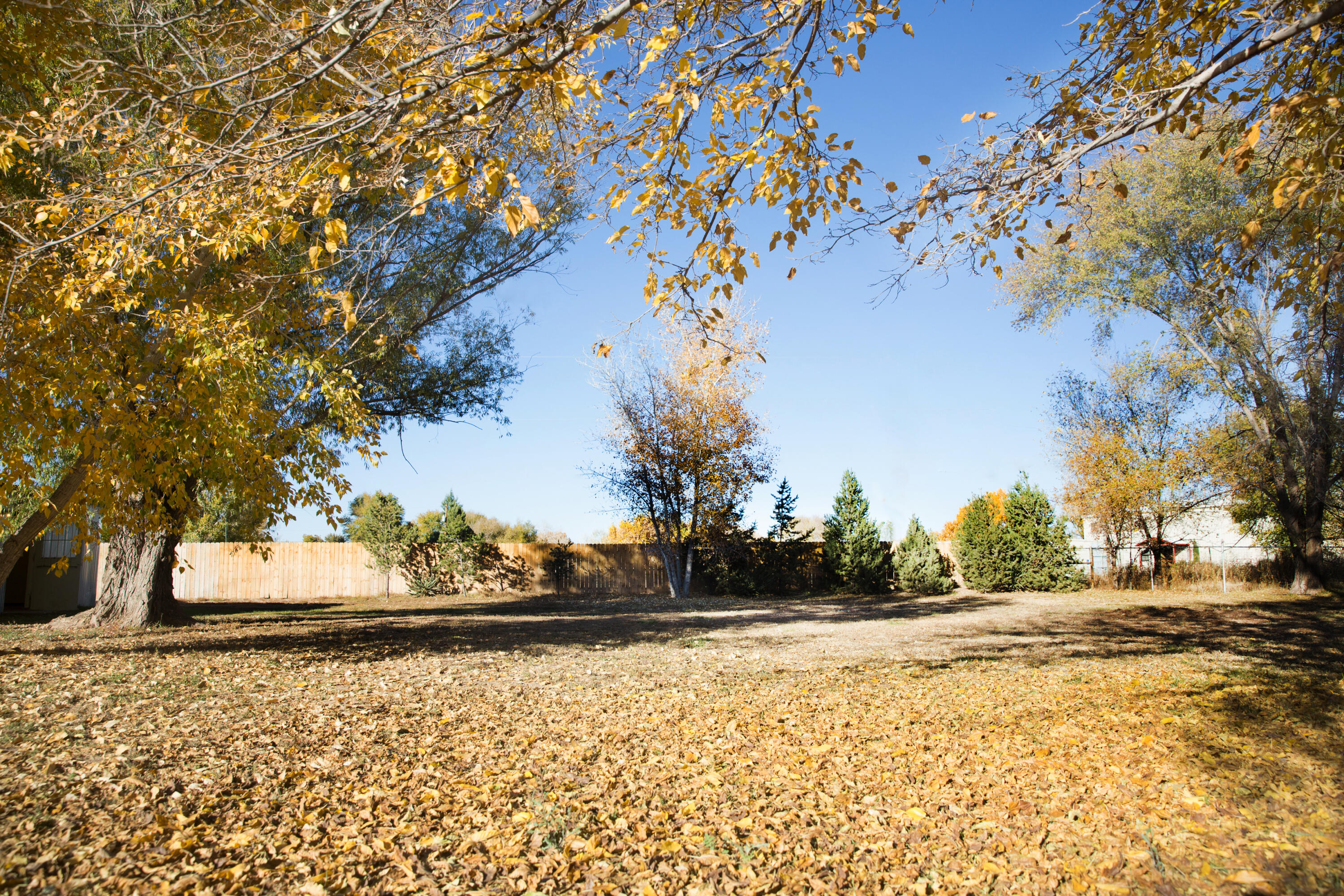 33 Sunflower Lane