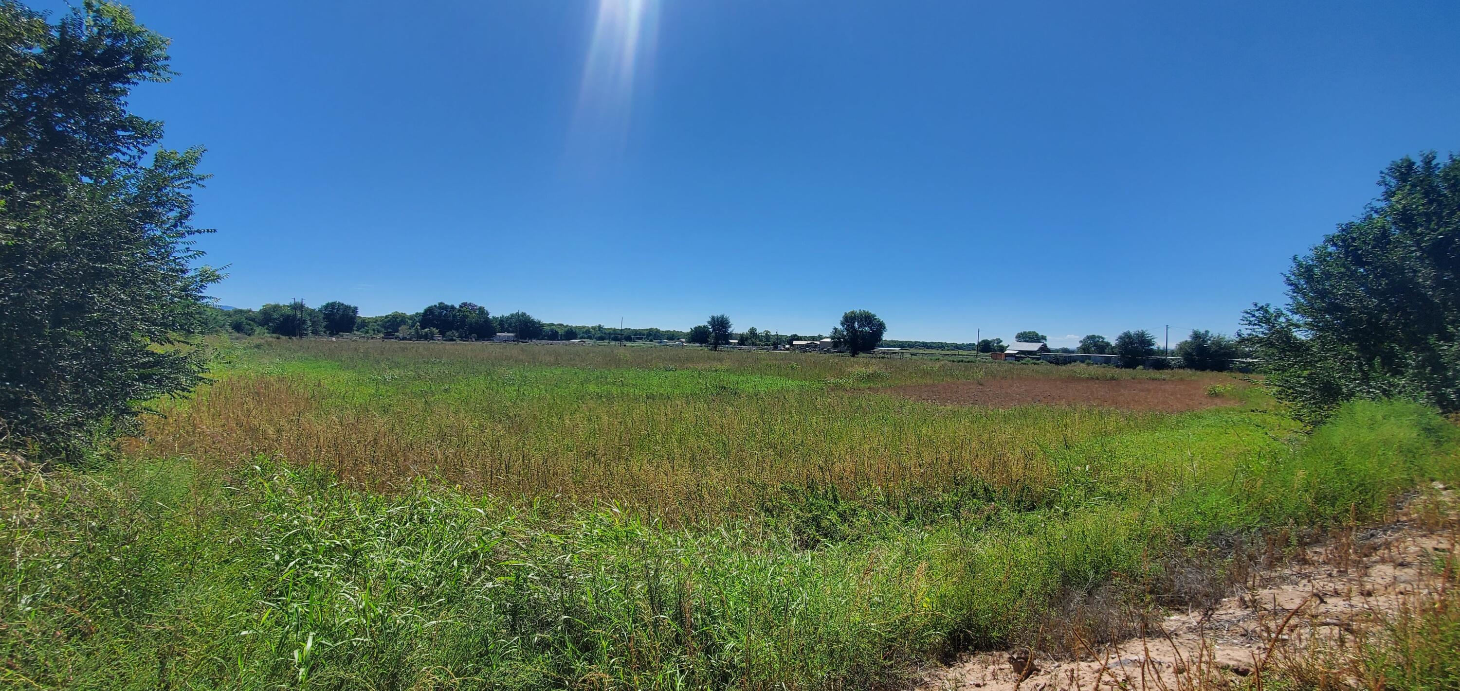 Vicente Road